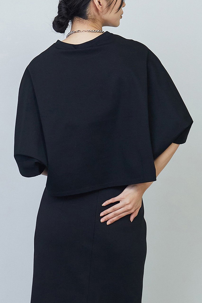 【プルミエ アロンディスモン/1er Arrondissement】のハイゲージポンチクロップドTシャツ 人気、トレンドファッション・服の通販 founy(ファニー) 　ファッション　Fashion　レディースファッション　WOMEN　トップス・カットソー　Tops/Tshirt　シャツ/ブラウス　Shirts/Blouses　ロング / Tシャツ　T-Shirts　カットソー　Cut and Sewn　カットソー　Cut And Sew　クロップド　Cropped　ショート　Short　シルケット　Mercerization　ジャージー　Jersey　スリーブ　Sleeve　トレンド　Trend　NEW・新作・新着・新入荷　New Arrivals　other-2|ID: prp329100004522200 ipo3291000000031986852