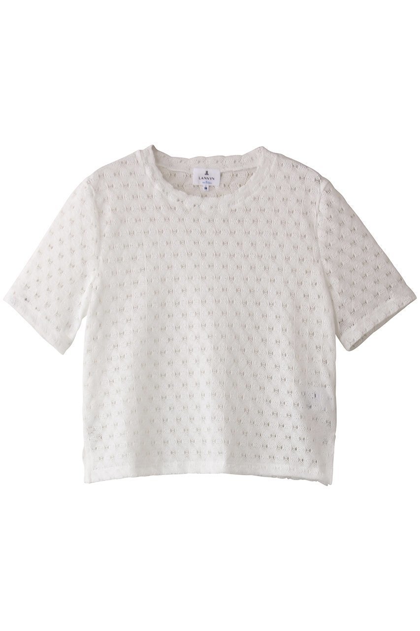 【ランバン オン ブルー/LANVIN en Bleu】のシアーレースカットソー インテリア・キッズ・メンズ・レディースファッション・服の通販 founy(ファニー) 　ファッション　Fashion　レディースファッション　WOMEN　トップス・カットソー　Tops/Tshirt　シャツ/ブラウス　Shirts/Blouses　ロング / Tシャツ　T-Shirts　カットソー　Cut and Sewn　カットソー　Cut And Sew　コンパクト　Compact　ショート　Short　スリーブ　Sleeve　フェミニン　Feminine　レース　Race　夏　Summer　NEW・新作・新着・新入荷　New Arrivals　春　Spring　S/S・春夏　Ss・Spring/Summer　オフ|ID: prp329100004523623 ipo3291000000031999121