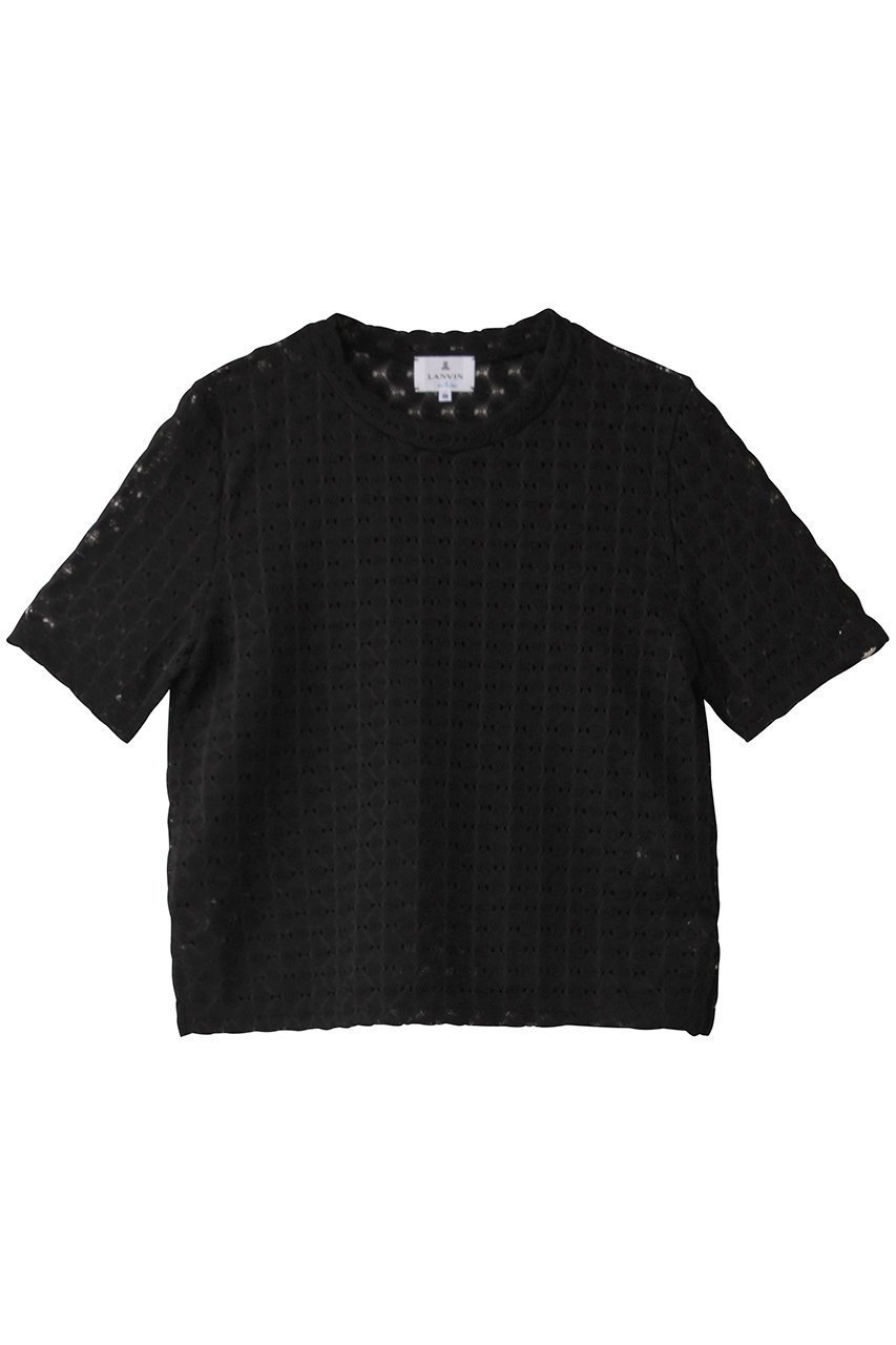 【ランバン オン ブルー/LANVIN en Bleu】のシアーレースカットソー インテリア・キッズ・メンズ・レディースファッション・服の通販 founy(ファニー) 　ファッション　Fashion　レディースファッション　WOMEN　トップス・カットソー　Tops/Tshirt　シャツ/ブラウス　Shirts/Blouses　ロング / Tシャツ　T-Shirts　カットソー　Cut and Sewn　カットソー　Cut And Sew　コンパクト　Compact　ショート　Short　スリーブ　Sleeve　フェミニン　Feminine　レース　Race　夏　Summer　NEW・新作・新着・新入荷　New Arrivals　春　Spring　S/S・春夏　Ss・Spring/Summer　ブラック|ID: prp329100004523623 ipo3291000000031999123