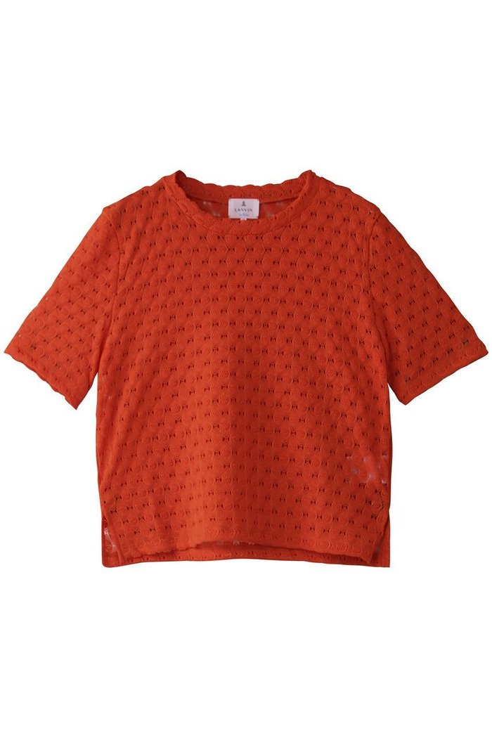 【ランバン オン ブルー/LANVIN en Bleu】のシアーレースカットソー インテリア・キッズ・メンズ・レディースファッション・服の通販 founy(ファニー) https://founy.com/ ファッション Fashion レディースファッション Fashion for Women トップス・カットソー Cut & Sew Tops シャツ・ブラウス・オフィスカジュアル Elegant Blouses & Button-Ups ロングTシャツ・Tシャツ Longline T-Shirts & Tees カットソー・ベーシックTシャツ Cut-and-Sewn Tops / Stretch Tees & Basics カットソー Cut and Sewn Top コンパクト Compact, Small Size ショート Short, Short Length スリーブ Sleeve, Long Sleeve / Short Sleeve フェミニン Feminine, Girly レース Lace, Lace Fabric 夏 Summer 春 Spring S/S・春夏 SS, Spring/Summer, Warm Season |ID: prp329100004523623 ipo3291000000036082517