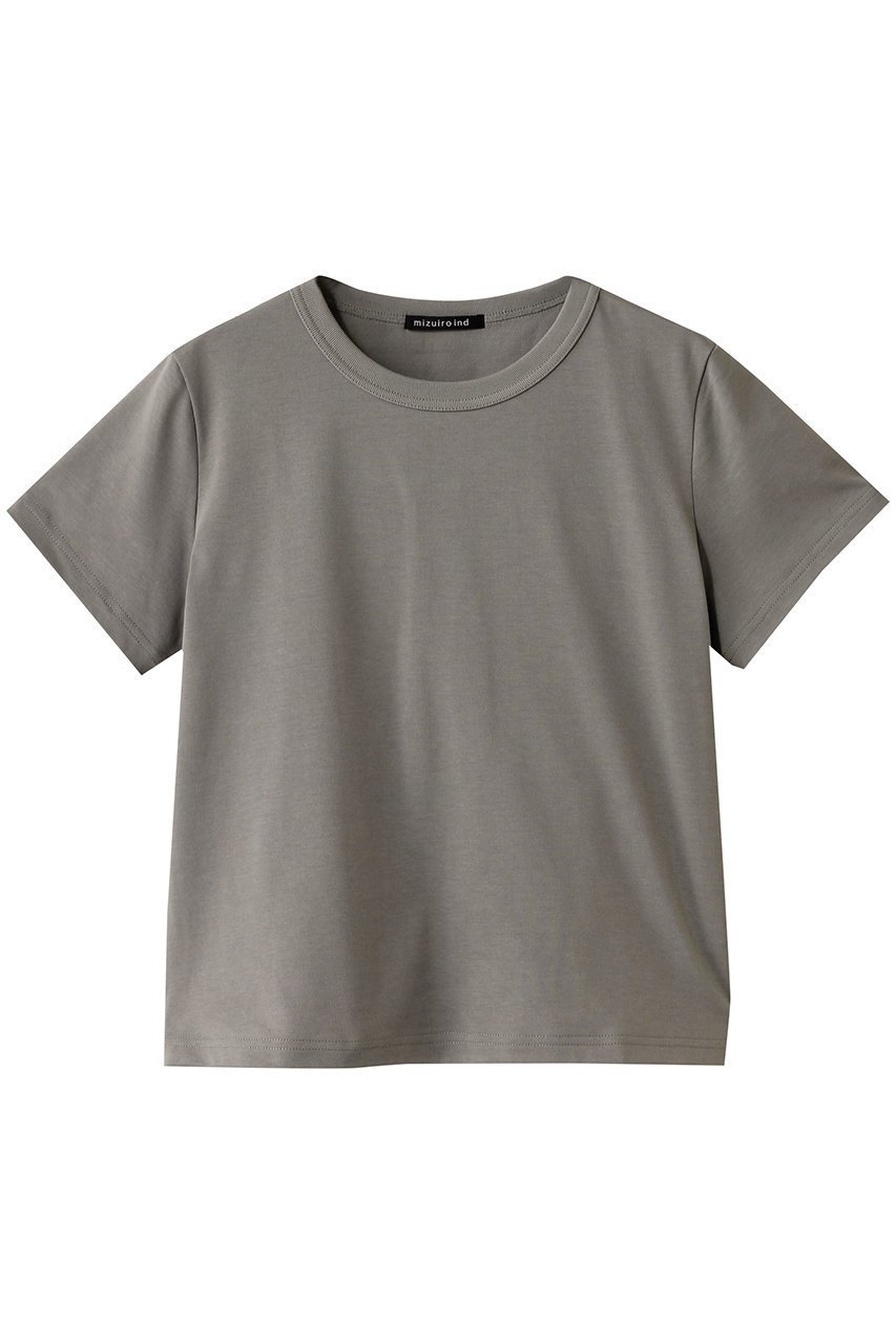 【ミズイロ インド/mizuiro ind】のbasic c/neck T Tシャツ インテリア・キッズ・メンズ・レディースファッション・服の通販 founy(ファニー) 　ファッション　Fashion　レディースファッション　WOMEN　トップス・カットソー　Tops/Tshirt　シャツ/ブラウス　Shirts/Blouses　ロング / Tシャツ　T-Shirts　カットソー　Cut and Sewn　インナー　Inner　コンパクト　Compact　ショート　Short　シンプル　Simple　スリーブ　Sleeve　ベーシック　Basic　半袖　Short Sleeve　NEW・新作・新着・新入荷　New Arrivals　gray|ID: prp329100004526718 ipo3291000000032013169