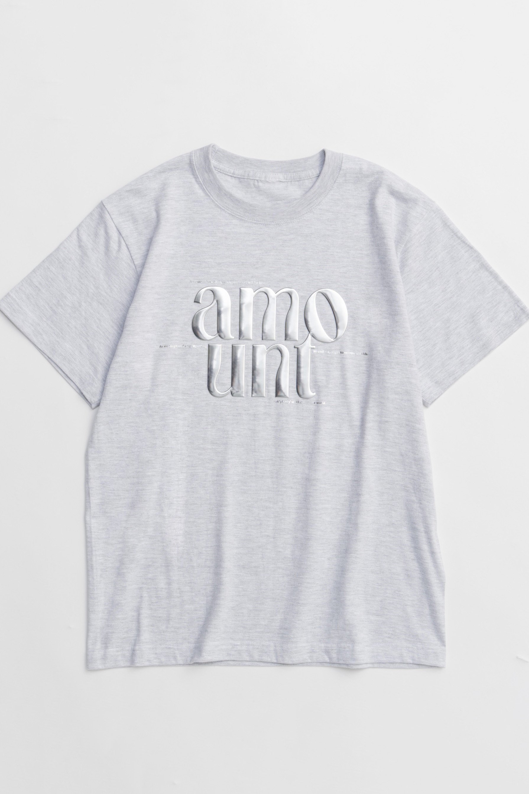 【メゾンスペシャル/MAISON SPECIAL】のamount T-shirt/amount Tシャツ インテリア・キッズ・メンズ・レディースファッション・服の通販 founy(ファニー) 　ファッション　Fashion　レディースファッション　WOMEN　トップス・カットソー　Tops/Tshirt　シャツ/ブラウス　Shirts/Blouses　ロング / Tシャツ　T-Shirts　カットソー　Cut and Sewn　ショート　Short　シンプル　Simple　スリーブ　Sleeve　トレンド　Trend　バランス　Balance　フォルム　Form　プリント　Print　ベーシック　Basic　ラバー　Rubber　夏　Summer　NEW・新作・新着・新入荷　New Arrivals　GRY(グレー)|ID: prp329100004544556 ipo3291000000032113137