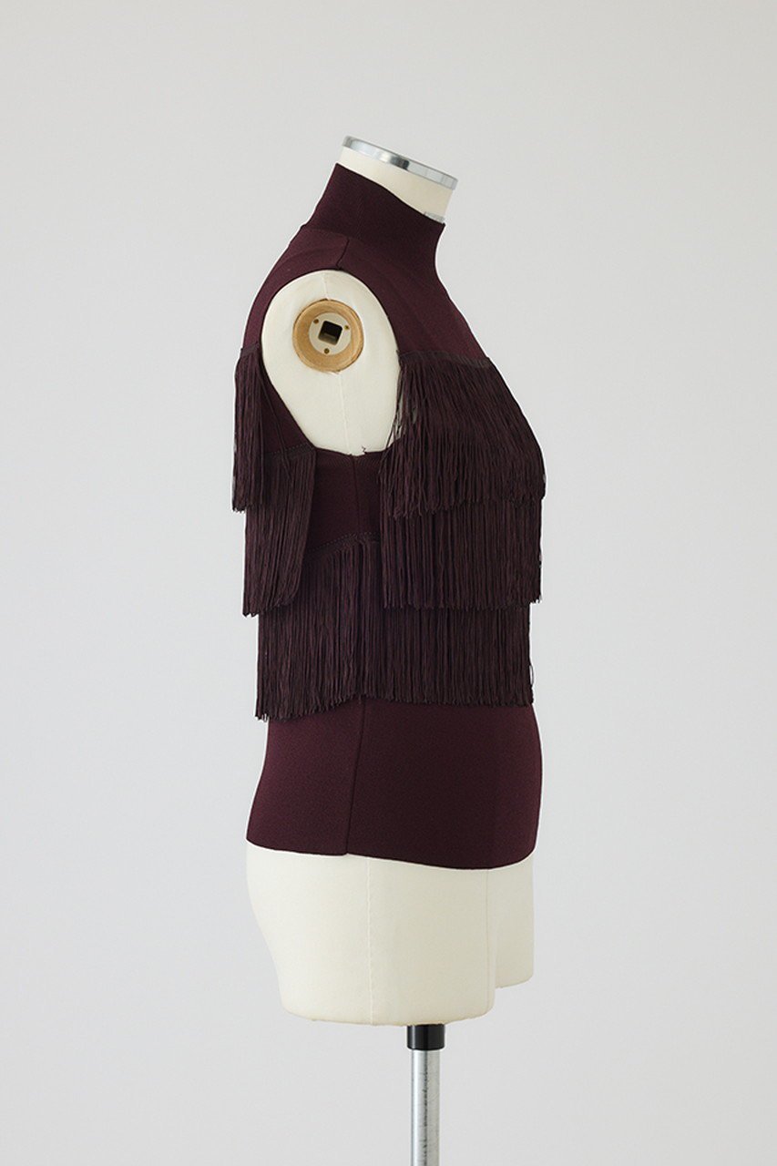 【リムアーク/RIM.ARK】のFringe N/S knit tops/ニット 人気、トレンドファッション・服の通販 founy(ファニー) 　ファッション　Fashion　レディースファッション　WOMEN　トップス・カットソー　Tops/Tshirt　ニット　Knit Tops　プルオーバー　Pullover　2025年　2025　シンプル　Simple　ノースリーブ　No Sleeve　フリンジ　Fringe　A/W・秋冬　Aw・Autumn/Winter・Fw・Fall-Winter　other-3|ID: prp329100004546614 ipo3291000000032124736