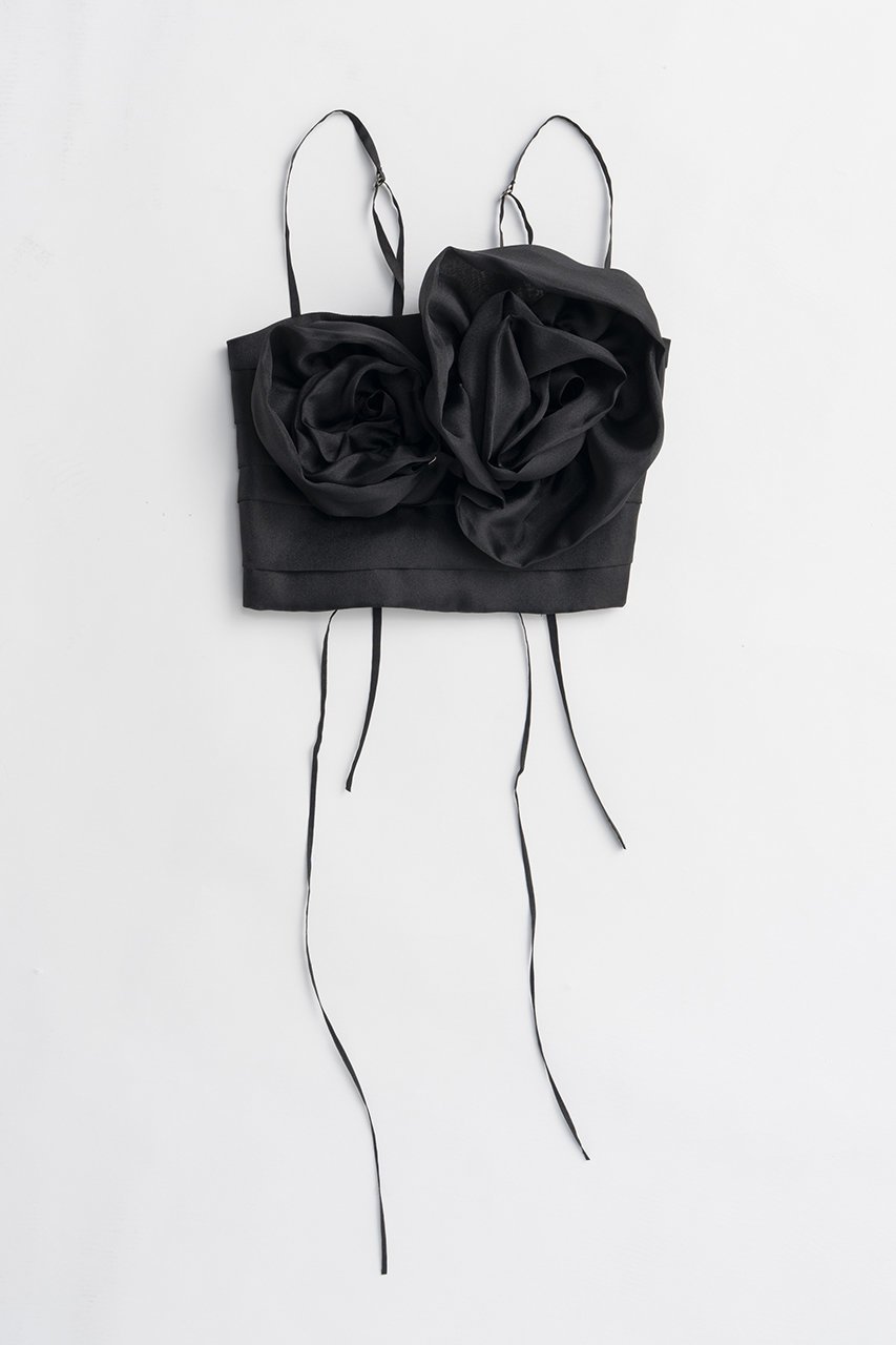 【プランク プロジェクト/PRANK PROJECT】のローズビスチェ / Rose Bustier インテリア・キッズ・メンズ・レディースファッション・服の通販 founy(ファニー) 　ファッション　Fashion　レディースファッション　WOMEN　トップス・カットソー　Tops/Tshirt　キャミソール / ノースリーブ　No Sleeves　シャツ/ブラウス　Shirts/Blouses　ビスチェ　Bustier　おすすめ　Recommend　オーガンジー　Organdy　タンク　Tank　ノースリーブ　No Sleeve　ビスチェ　Bustier　プリント　Print　モチーフ　Motif　ラップ　Wrap　レース　Race　ローズ　Rose　NEW・新作・新着・新入荷　New Arrivals　BLK(ブラック)|ID: prp329100004550972 ipo3291000000032163895