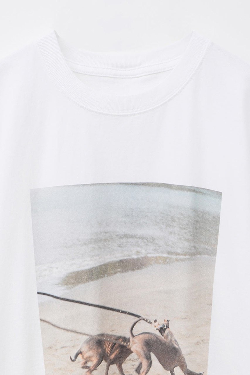 【ハー/HER.】の【5/29 12:00販売開始】Oreo & Rose Tee/03 Tシャツ 人気、トレンドファッション・服の通販 founy(ファニー) 　ファッション　Fashion　レディースファッション　WOMEN　トップス・カットソー　Tops/Tshirt　シャツ/ブラウス　Shirts/Blouses　ロング / Tシャツ　T-Shirts　カットソー　Cut and Sewn　ショート　Short　スリーブ　Sleeve　ヴィンテージ　Vintage　NEW・新作・新着・新入荷　New Arrivals　other-2|ID: prp329100004557880 ipo3291000000032219639