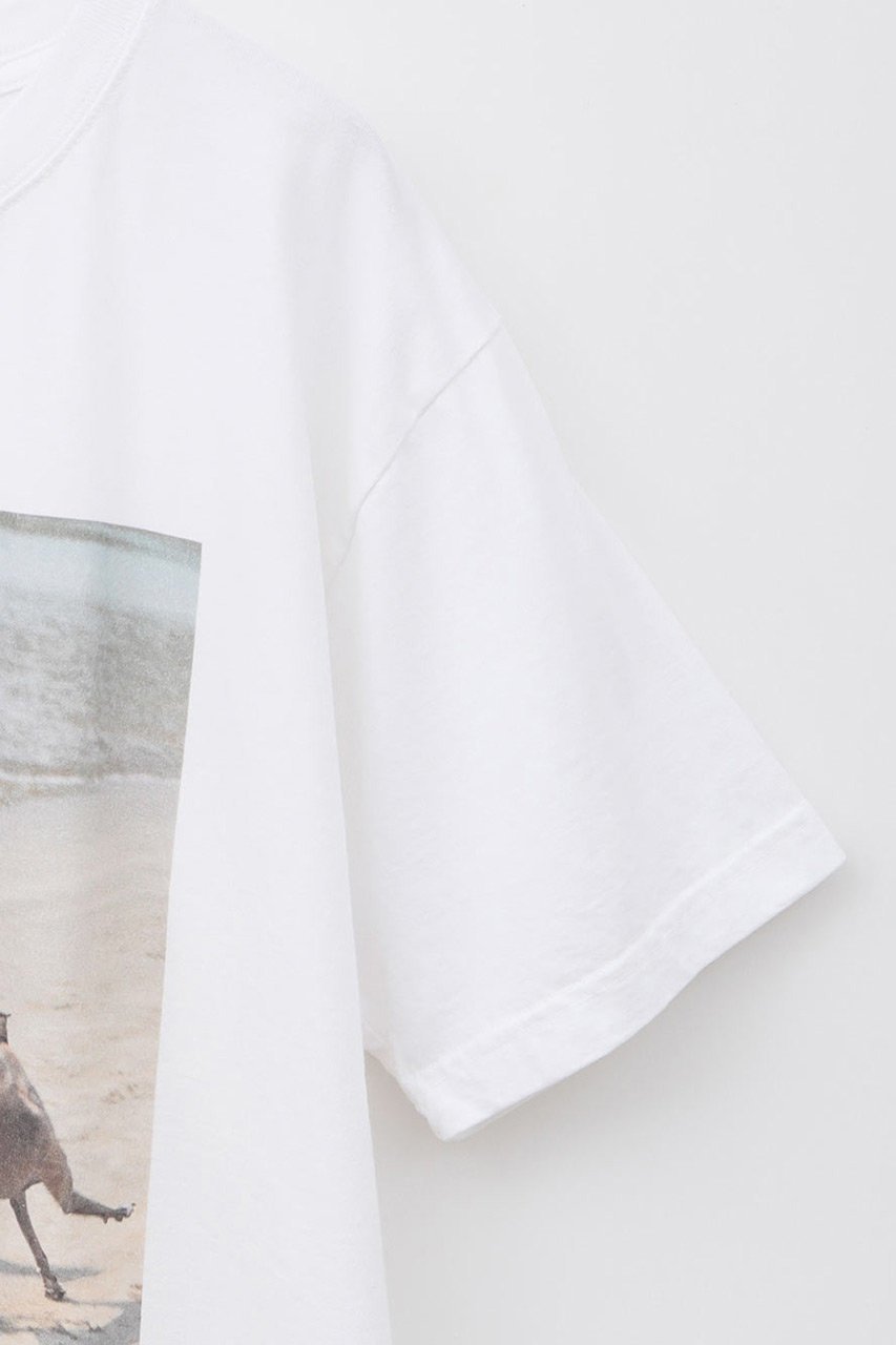 【ハー/HER.】の【5/29 12:00販売開始】Oreo & Rose Tee/03 Tシャツ 人気、トレンドファッション・服の通販 founy(ファニー) 　ファッション　Fashion　レディースファッション　WOMEN　トップス・カットソー　Tops/Tshirt　シャツ/ブラウス　Shirts/Blouses　ロング / Tシャツ　T-Shirts　カットソー　Cut and Sewn　ショート　Short　スリーブ　Sleeve　ヴィンテージ　Vintage　NEW・新作・新着・新入荷　New Arrivals　other-3|ID: prp329100004557880 ipo3291000000032219640