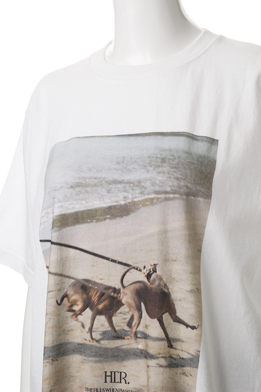 【ハー/HER.】のOreo & Rose Tee/03 Tシャツ 人気、トレンドファッション・服の通販 founy(ファニー) 　ファッション　Fashion　レディースファッション　Fashion for Women　トップス・カットソー　Cut & Sew Tops　シャツ・ブラウス・オフィスカジュアル　Elegant Blouses & Button-Ups　ロングTシャツ・Tシャツ　Longline T-Shirts & Tees　カットソー・ベーシックTシャツ　Cut-and-Sewn Tops / Stretch Tees & Basics　ショート　Short, Short Length　スリーブ　Sleeve, Long Sleeve / Short Sleeve　ヴィンテージ　Vintage Style　other-5|ID: prp329100004557880 ipo3291000000032813882