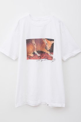 【ハー/HER.】 【5/29 12:00販売開始】Suzume Tee/02 Tシャツ人気、トレンドファッション・服の通販 founy(ファニー) ファッション Fashion レディースファッション WOMEN トップス・カットソー Tops/Tshirt シャツ/ブラウス Shirts/Blouses ロング / Tシャツ T-Shirts カットソー Cut and Sewn ショート Short スリーブ Sleeve ヴィンテージ Vintage NEW・新作・新着・新入荷 New Arrivals 猫 Cat |ID:prp329100004557882