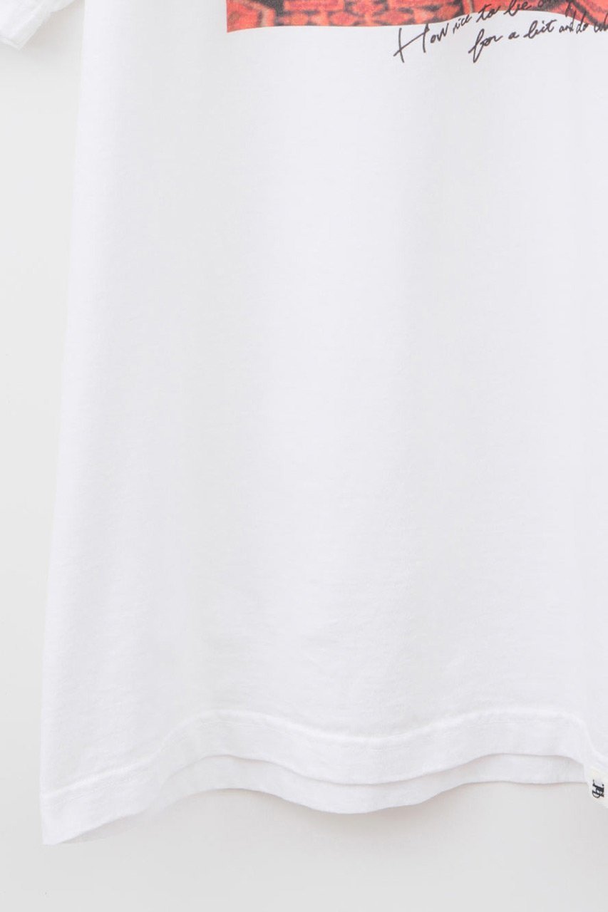 【ハー/HER.】の【5/29 12:00販売開始】Suzume Tee/02 Tシャツ 人気、トレンドファッション・服の通販 founy(ファニー) 　ファッション　Fashion　レディースファッション　WOMEN　トップス・カットソー　Tops/Tshirt　シャツ/ブラウス　Shirts/Blouses　ロング / Tシャツ　T-Shirts　カットソー　Cut and Sewn　ショート　Short　スリーブ　Sleeve　ヴィンテージ　Vintage　NEW・新作・新着・新入荷　New Arrivals　猫　Cat　other-4|ID: prp329100004557882 ipo3291000000032219660