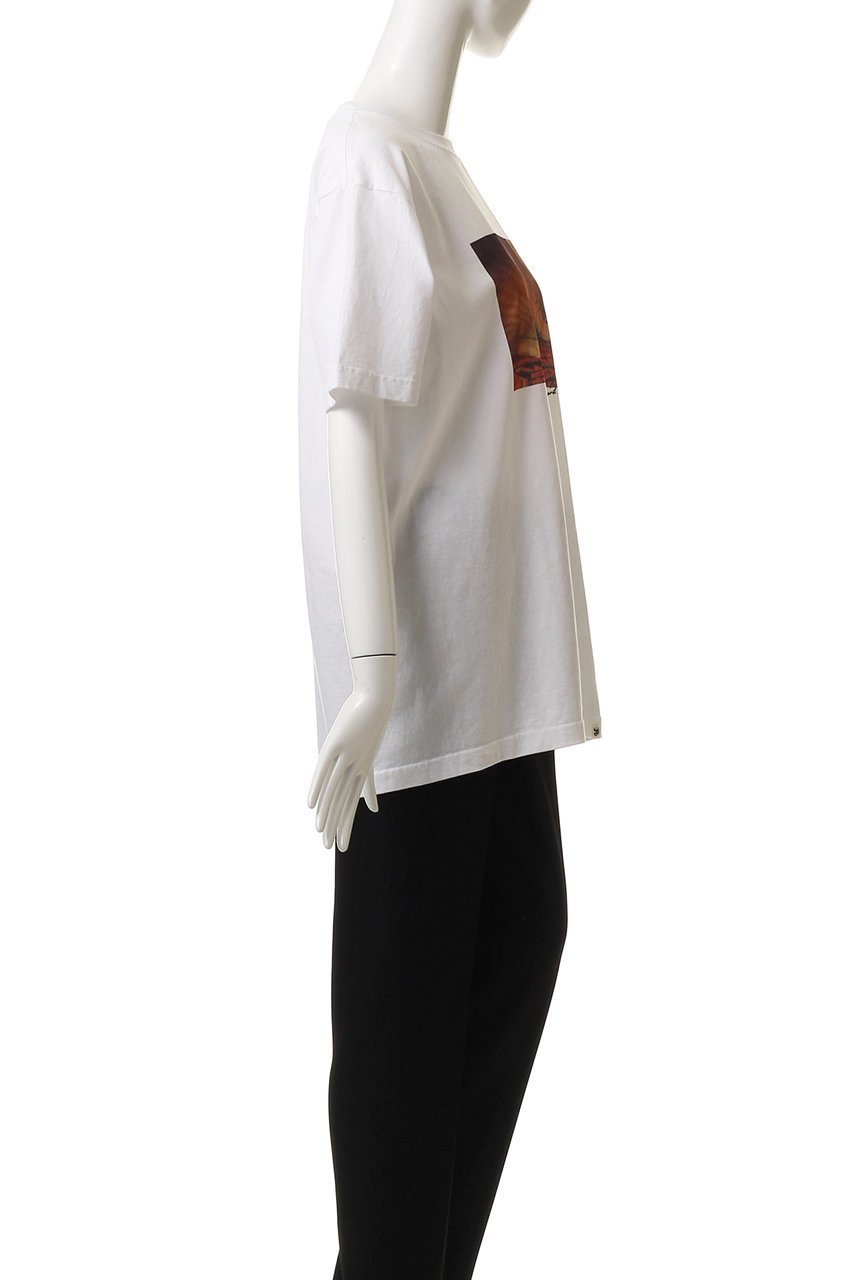 【ハー/HER.】のSuzume Tee/02 Tシャツ 人気、トレンドファッション・服の通販 founy(ファニー) 　ファッション　Fashion　レディースファッション　Fashion for Women　トップス・カットソー　Cut & Sew Tops　シャツ・ブラウス・オフィスカジュアル　Elegant Blouses & Button-Ups　ロングTシャツ・Tシャツ　Longline T-Shirts & Tees　カットソー・ベーシックTシャツ　Cut-and-Sewn Tops / Stretch Tees & Basics　ショート　Short, Short Length　スリーブ　Sleeve, Long Sleeve / Short Sleeve　ヴィンテージ　Vintage Style　猫　Cat, Kitty　other-3|ID: prp329100004557882 ipo3291000000036046757