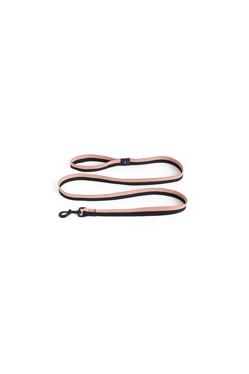 【ヘイ/HAY / GOODS】のHAY Dogs Leash Flat M/L インテリア・キッズ・メンズ・レディースファッション・服の通販 founy(ファニー) 　アクセサリー　Fashion Accessories　カラフル　Colorful Design　コレクション　Collection, Seasonal Line　ストライプ　Stripe, Striped Pattern　犬　Dog　ホーム・キャンプ・アウトドア・お取り寄せ　Home Living / Home & Lifestyle / Camping Gear / Outdoor Camping　ペットグッズ　Pet Supplies　ピンク/ブラック|ID: prp329100004557895 ipo3291000000032219753