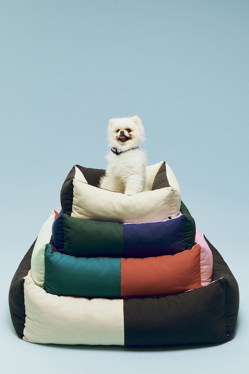 【ヘイ/HAY / GOODS】のHAY Dogs Bed Medium 人気、トレンドファッション・服の通販 founy(ファニー) 　アクセサリー　Fashion Accessories　カラフル　Colorful Design　クッション　Cushion, Throw Pillow　ブロッキング　Color Blocking, Panel Design　犬　Dog　ホーム・キャンプ・アウトドア・お取り寄せ　Home Living / Home & Lifestyle / Camping Gear / Outdoor Camping　ペットグッズ　Pet Supplies　other-3|ID: prp329100004557896 ipo3291000000032219759