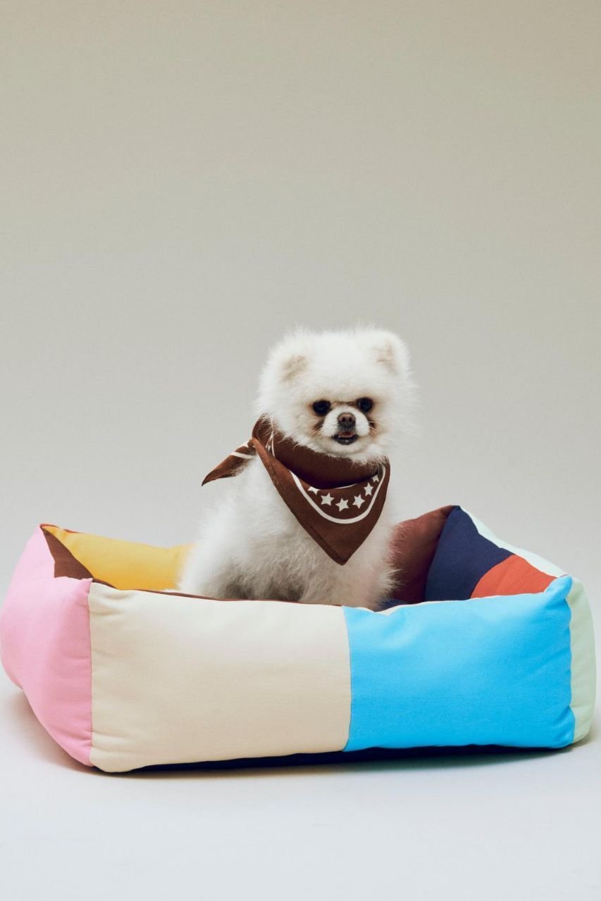 【ヘイ/HAY / GOODS】のHAY Dogs Bed Medium 人気、トレンドファッション・服の通販 founy(ファニー) 　アクセサリー　Fashion Accessories　カラフル　Colorful Design　クッション　Cushion, Throw Pillow　ブロッキング　Color Blocking, Panel Design　犬　Dog　ホーム・キャンプ・アウトドア・お取り寄せ　Home Living / Home & Lifestyle / Camping Gear / Outdoor Camping　ペットグッズ　Pet Supplies　other-5|ID: prp329100004557896 ipo3291000000035692866