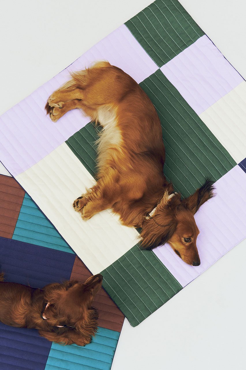【ヘイ/HAY / GOODS】のHAY Dogs Travel Blanket 人気、トレンドファッション・服の通販 founy(ファニー) 　旅行　Travel　アクセサリー　Fashion Accessories　カラフル　Colorful Design　ブランケット　Blanket, Throw Blanket　犬　Dog　ホーム・キャンプ・アウトドア・お取り寄せ　Home Living / Home & Lifestyle / Camping Gear / Outdoor Camping　ペットグッズ　Pet Supplies　other-4|ID: prp329100004557897 ipo3291000000032219766