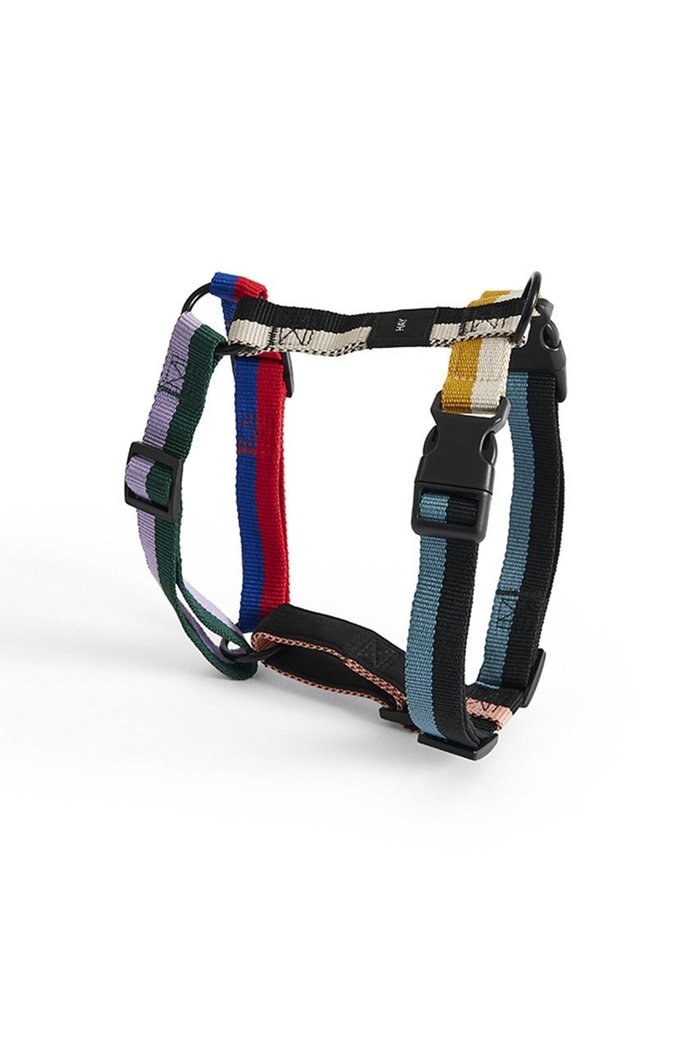 【ヘイ/HAY / GOODS】のHAY Dogs Harness Medium インテリア・キッズ・メンズ・レディースファッション・服の通販 founy(ファニー) https://founy.com/ アクセサリー Accessories カラフル Colorful 犬 Dog ホーム・キャンプ・アウトドア・お取り寄せ Home,Garden,Outdoor,Camping Gear ペットグッズ Pet Supplies |ID: prp329100004557898 ipo3291000000032219768