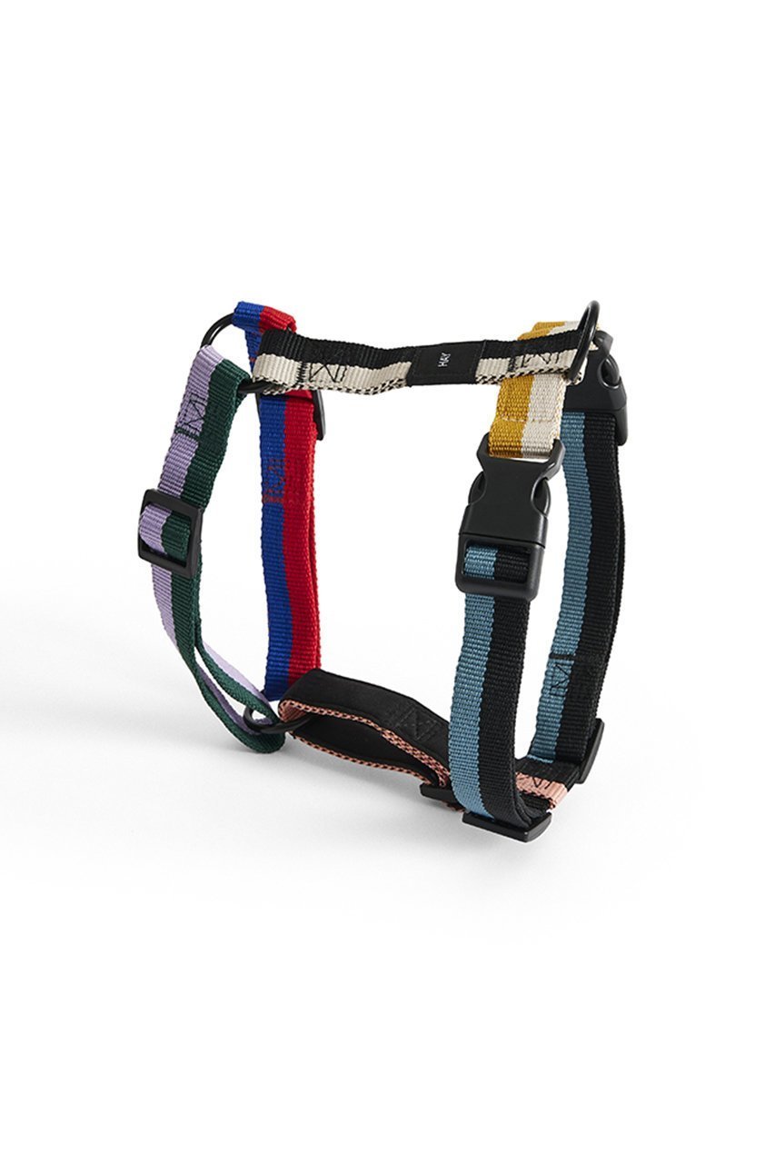 【ヘイ/HAY / GOODS】のHAY Dogs Harness Medium 人気、トレンドファッション・服の通販 founy(ファニー) 　アクセサリー　Fashion Accessories　カラフル　Colorful Design　犬　Dog　ホーム・キャンプ・アウトドア・お取り寄せ　Home Living / Home & Lifestyle / Camping Gear / Outdoor Camping　ペットグッズ　Pet Supplies　 other-1|ID: prp329100004557898 ipo3291000000032219768