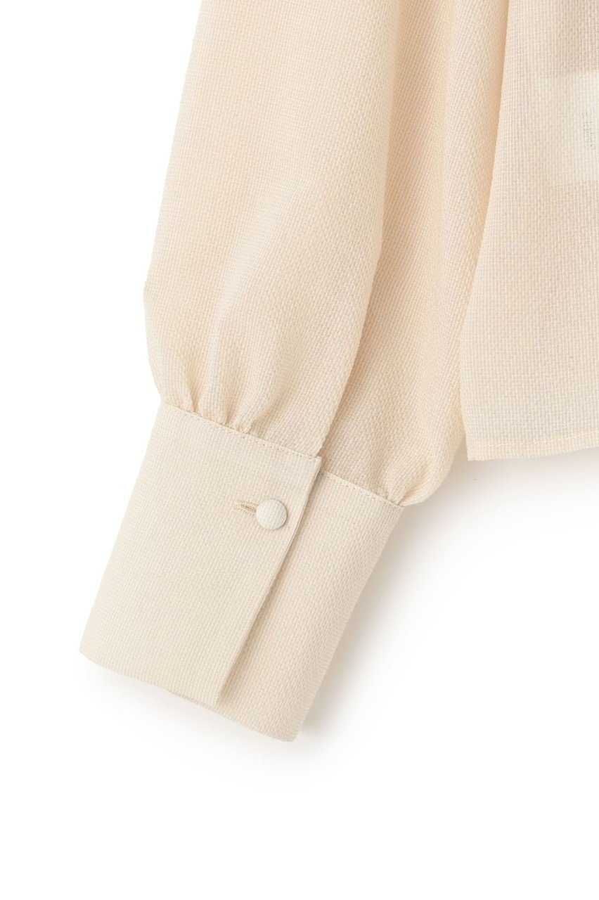 【エストラータ/STRATA】のシアーフリルブラウス 人気、トレンドファッション・服の通販 founy(ファニー) 　ファッション　Fashion　レディースファッション　WOMEN　トップス・カットソー　Tops/Tshirt　シャツ/ブラウス　Shirts/Blouses　おすすめ　Recommend　サマー　Summer　シアー　Sheer　シンプル　Simple　スリーブ　Sleeve　デニム　Denim　バランス　Balance　フェミニン　Feminine　フリル　Frills　フレア　Flare　ボトム　Bottom　ロング　Long　NEW・新作・新着・新入荷　New Arrivals　other-3|ID: prp329100004560490 ipo3291000000032243911