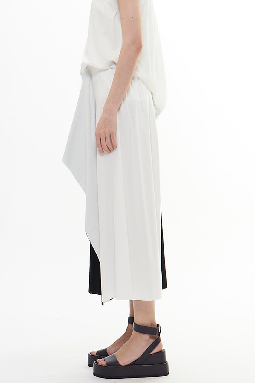【プレインピープル/PLAIN PEOPLE】の60スムースバイカラースカート 人気、トレンドファッション・服の通販 founy(ファニー) 　ファッション　Fashion　レディースファッション　WOMEN　スカート　Skirt　ロングスカート　Long Skirt　シンプル　Simple　ドレープ　Drape　ロング　Long　エレガント 上品　Elegant　NEW・新作・新着・新入荷　New Arrivals　other-4|ID: prp329100004560605 ipo3291000000032244814