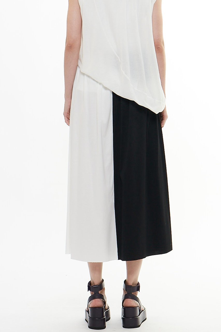 【プレインピープル/PLAIN PEOPLE】の60スムースバイカラースカート 人気、トレンドファッション・服の通販 founy(ファニー) 　ファッション　Fashion　レディースファッション　Fashion for Women　スカート　Skirts　ロングスカート　Long Skirts / Maxi & Midi Skirts　シンプル　Simple, Minimal　ドレープ　Drape, Draping Fabric　ロング　Long, Long-Length　エレガント 上品　Elegant　other-5|ID: prp329100004560605 ipo3291000000036046838
