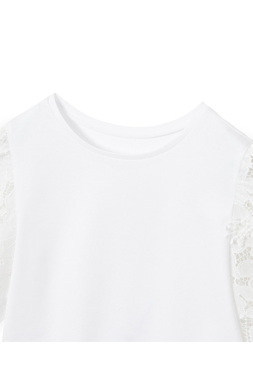 【アナイ/ANAYI】のコンパクトポンチスカラップ袖 プルオーバー 人気、トレンドファッション・服の通販 founy(ファニー) 　ファッション　Fashion　レディースファッション　WOMEN　トップス・カットソー　Tops/Tshirt　シャツ/ブラウス　Shirts/Blouses　ロング / Tシャツ　T-Shirts　プルオーバー　Pullover　カットソー　Cut and Sewn　カットソー　Cut And Sew　クロップド　Cropped　コンパクト　Compact　コンビ　Combination　ショート　Short　スリーブ　Sleeve　フラワー　Flower　レース　Race　ワーク　Work　エレガント 上品　Elegant　NEW・新作・新着・新入荷　New Arrivals　other-3|ID: prp329100004560638 ipo3291000000032245146