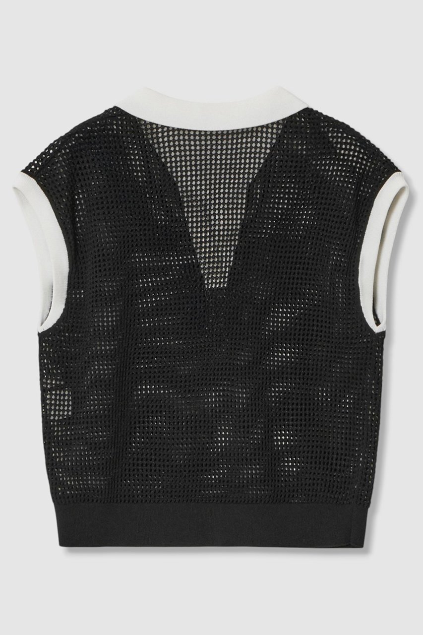 【アナイ/ANAYI】のメッシュポロプルオーバー 人気、トレンドファッション・服の通販 founy(ファニー) 　ファッション　Fashion　レディースファッション　WOMEN　トップス・カットソー　Tops/Tshirt　ニット　Knit Tops　プルオーバー　Pullover　インナー　Inner　スリーブ　Sleeve　タンク　Tank　トレンド　Trend　ドロップ　Drop　ボトム　Bottom　メッシュ　Mesh　リネン　Linen　半袖　Short Sleeve　NEW・新作・新着・新入荷　New Arrivals　other-2|ID: prp329100004565326 ipo3291000000032286344
