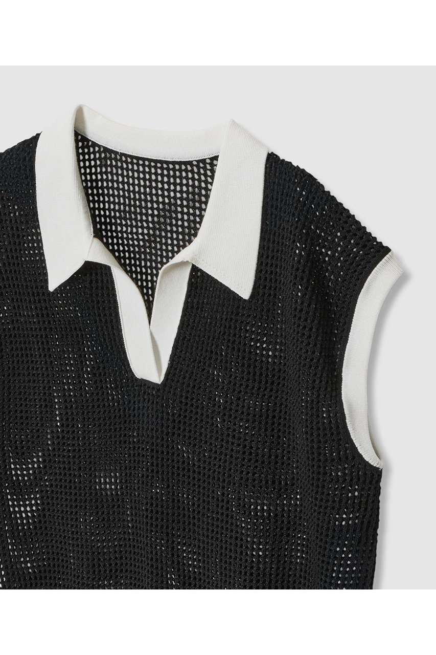 【アナイ/ANAYI】のメッシュポロプルオーバー 人気、トレンドファッション・服の通販 founy(ファニー) 　ファッション　Fashion　レディースファッション　WOMEN　トップス・カットソー　Tops/Tshirt　ニット　Knit Tops　プルオーバー　Pullover　インナー　Inner　スリーブ　Sleeve　タンク　Tank　トレンド　Trend　ドロップ　Drop　ボトム　Bottom　メッシュ　Mesh　リネン　Linen　半袖　Short Sleeve　NEW・新作・新着・新入荷　New Arrivals　other-3|ID: prp329100004565326 ipo3291000000032286345