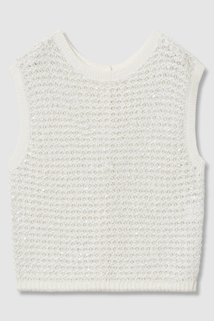 【アナイ/ANAYI】のシークインペーパーヤーン プルオーバー 人気、トレンドファッション・服の通販 founy(ファニー) 　ファッション　Fashion　レディースファッション　WOMEN　トップス・カットソー　Tops/Tshirt　ニット　Knit Tops　プルオーバー　Pullover　おすすめ　Recommend　コンパクト　Compact　スパンコール　Sequins　ベスト　Vest　エレガント 上品　Elegant　NEW・新作・新着・新入荷　New Arrivals　 other-1|ID: prp329100004565366 ipo3291000000032286707