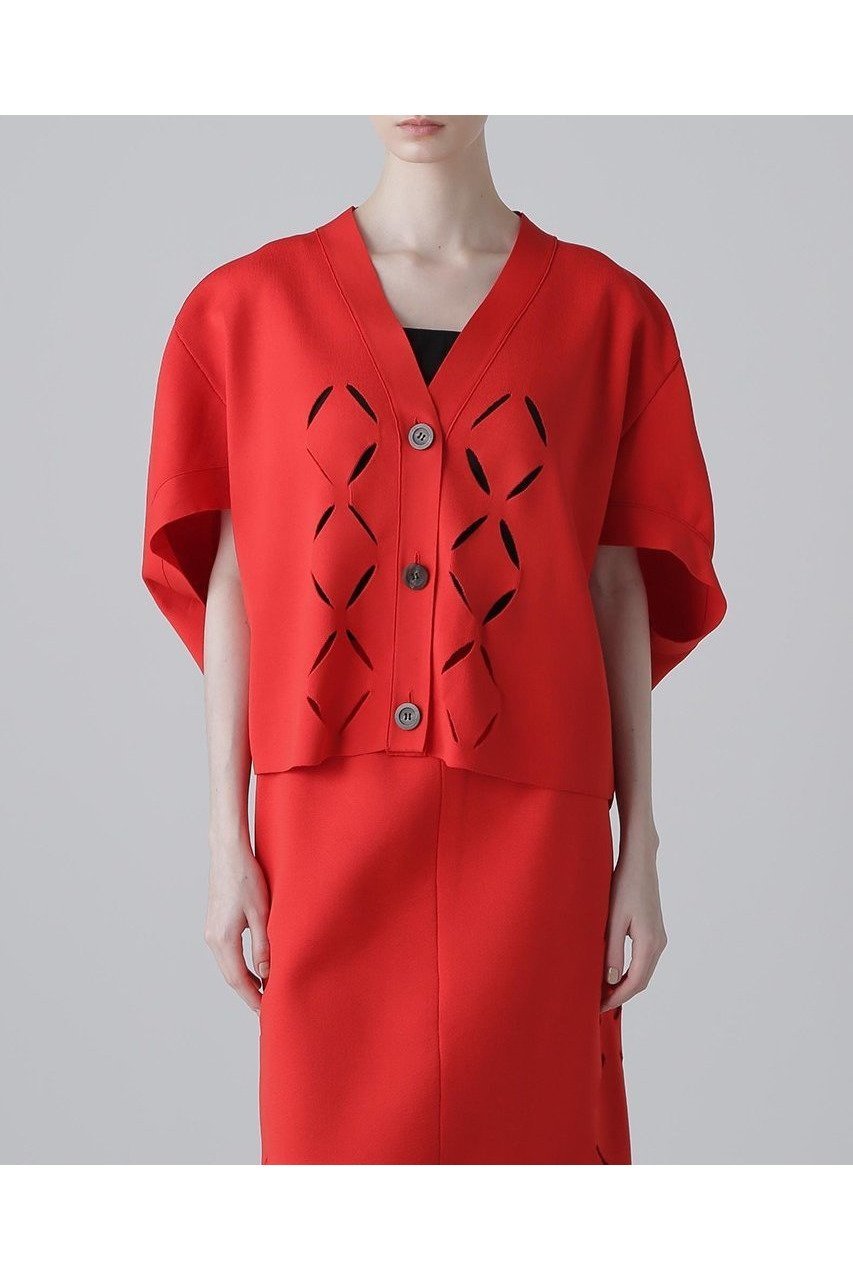 【アドーア/ADORE】のスカシカシパンニット 人気、トレンドファッション・服の通販 founy(ファニー) 　ファッション　Fashion　レディースファッション　WOMEN　トップス・カットソー　Tops/Tshirt　ニット　Knit Tops　プルオーバー　Pullover　カーディガン　Cardigan　セットアップ　Set Up　センター　Center　モチーフ　Motif　NEW・新作・新着・新入荷　New Arrivals　other-2|ID: prp329100004571657 ipo3291000000032348337