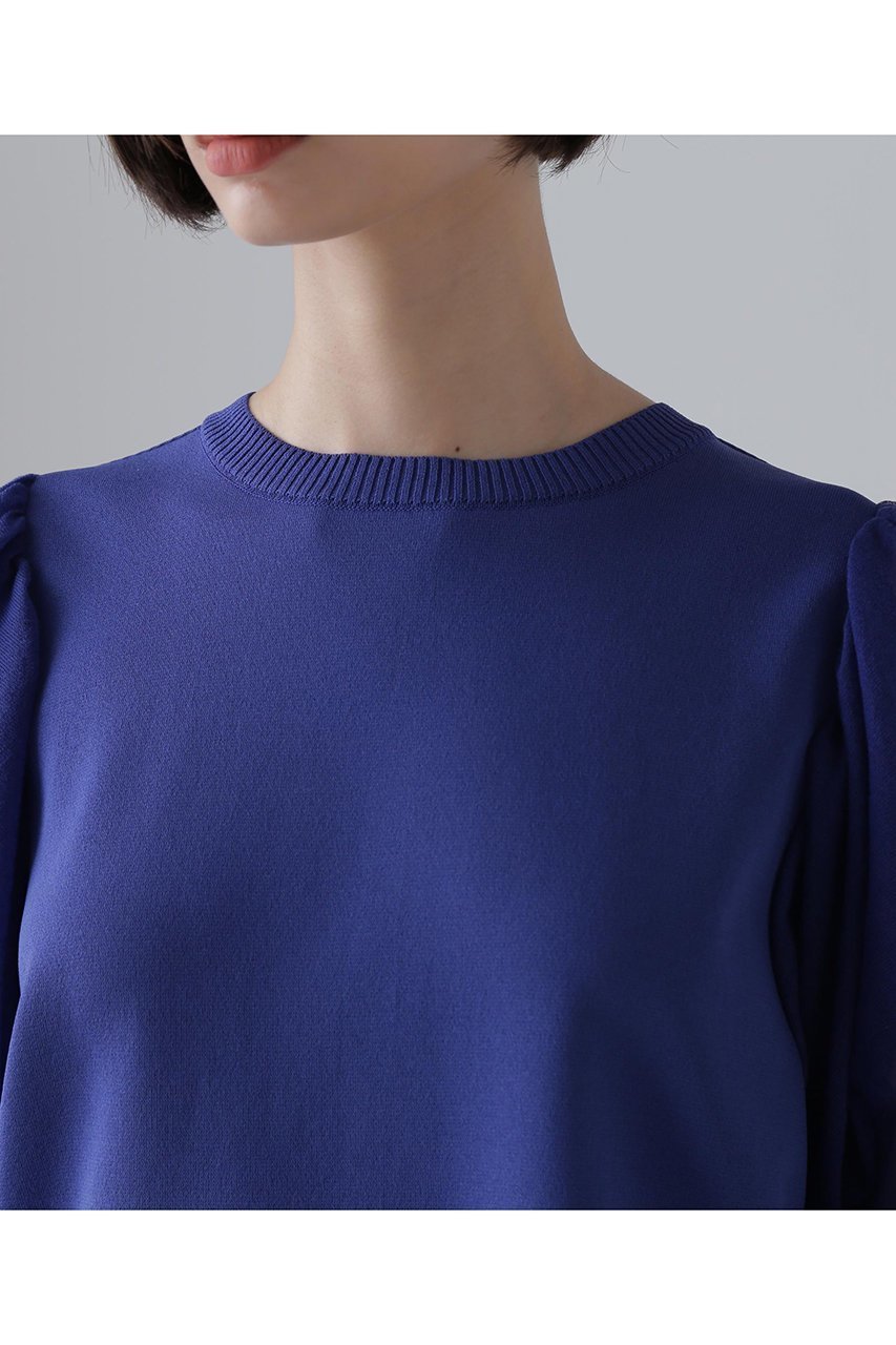 【アドーア/ADORE】のシアースリーブニット 人気、トレンドファッション・服の通販 founy(ファニー) 　ファッション　Fashion　レディースファッション　Fashion for Women　トップス・カットソー　Cut & Sew Tops　ニット　Knit Tops & Sweaters　カジュアルプルオーバー・ニットトップス　Pullovers & Knit Tops / Casual Pullovers　インナー　Innerwear　ギャザー　Gathered, Ruffled　ストレッチ　Stretch, Stretchy Fabric　スリーブ　Sleeve, Long Sleeve / Short Sleeve　other-6|ID: prp329100004572950 ipo3291000000035783344