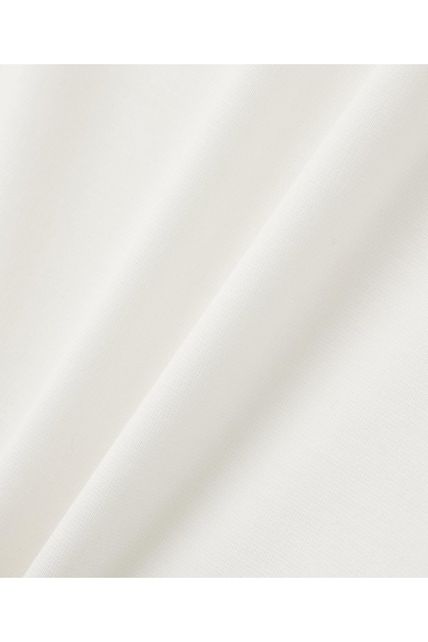 【アドーア/ADORE】のストレッチポンチカットソー 人気、トレンドファッション・服の通販 founy(ファニー) ファッション Fashion レディースファッション Fashion for Women トップス・カットソー Cut & Sew Tops シャツ・ブラウス・オフィスカジュアル Elegant Blouses & Button-Ups ロングTシャツ・Tシャツ Longline T-Shirts & Tees カットソー・ベーシックTシャツ Cut-and-Sewn Tops / Stretch Tees & Basics 2024年 2024 2024春夏・S/S Spring/Summer 2024 SS24 カットソー Cut and Sewn Top ショート Short, Short Length スリーブ Sleeve, Long Sleeve / Short Sleeve エレガント 上品 Elegant 人気 Popular, Best Seller 定番 Standard, Basic Item other-2|ID: prp329100004572951 ipo3291000000035809777