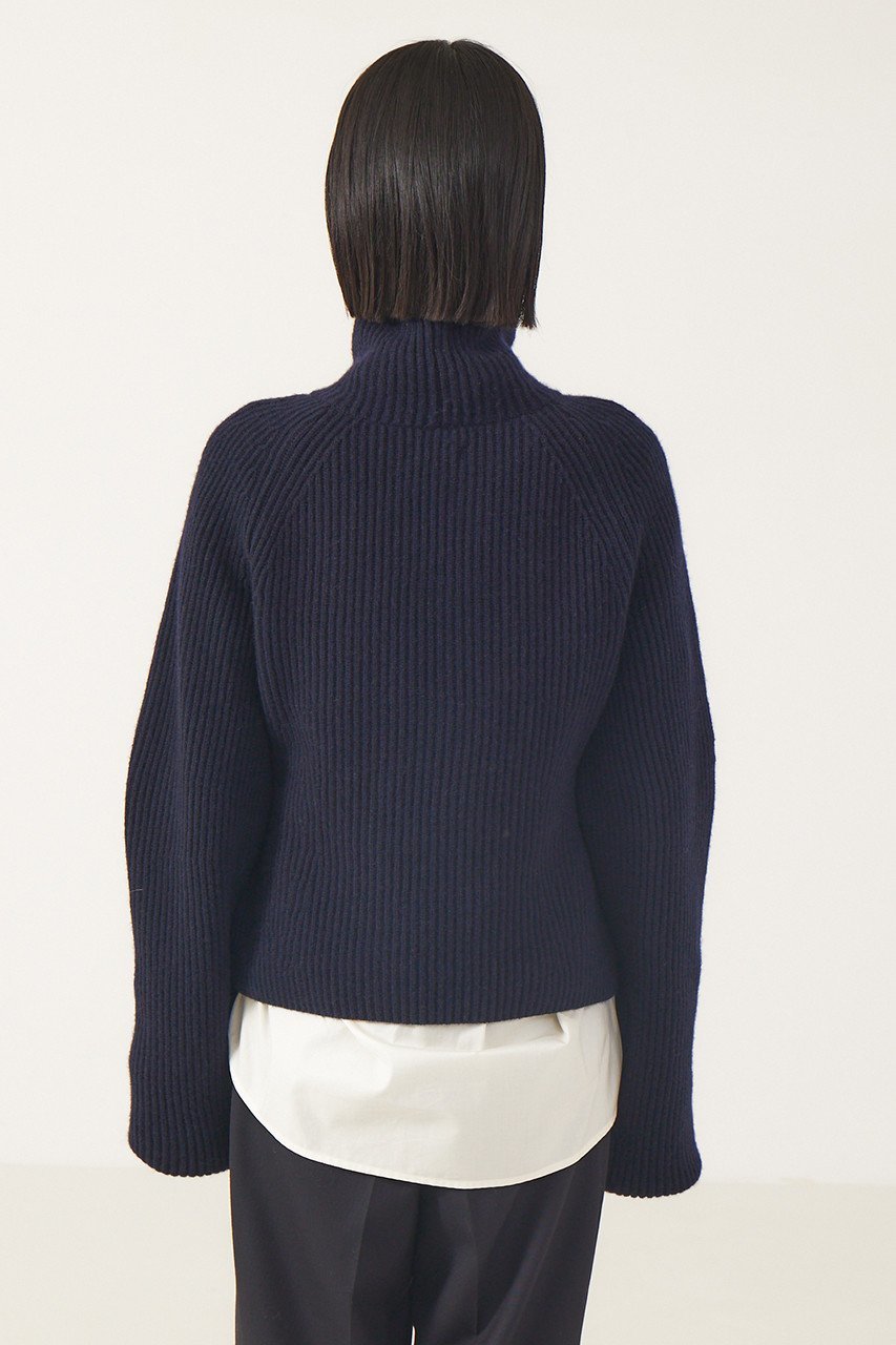 【ザ ストア バイ シー/THE STORE by C】のフォルムプルオーバー 人気、トレンドファッション・服の通販 founy(ファニー) 　ファッション　Fashion　レディースファッション　Fashion for Women　トップス・カットソー　Cut & Sew Tops　ニット　Knit Tops & Sweaters　カジュアルプルオーバー・ニットトップス　Pullovers & Knit Tops / Casual Pullovers　アクセサリー　Fashion Accessories　イヤーカフ　Ear Cuffs　シェイプ　Shape, Slim Fit　ハイネック　High Neck, Mock Neck　フォルム　Silhouette, Form　ボトム　Bottoms, Lower Wear　今季　This Season, Current Season　冬　Winter / This Winter　畦　Ribbed Knit　other-4|ID: prp329100004577779 ipo3291000000032962251