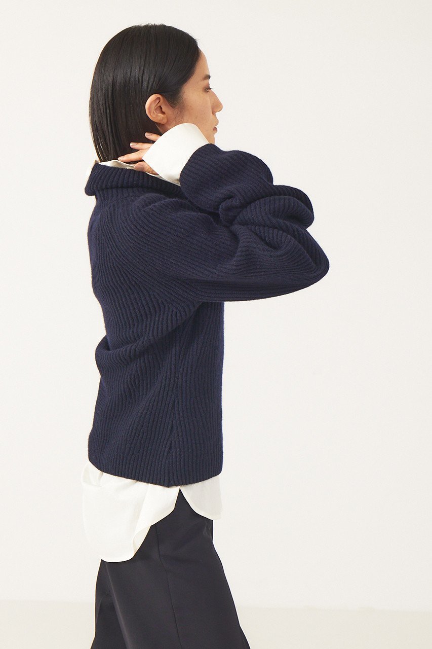 【ザ ストア バイ シー/THE STORE by C】のフォルムプルオーバー 人気、トレンドファッション・服の通販 founy(ファニー) 　ファッション　Fashion　レディースファッション　Fashion for Women　トップス・カットソー　Cut & Sew Tops　ニット　Knit Tops & Sweaters　カジュアルプルオーバー・ニットトップス　Pullovers & Knit Tops / Casual Pullovers　アクセサリー　Fashion Accessories　イヤーカフ　Ear Cuffs　シェイプ　Shape, Slim Fit　ハイネック　High Neck, Mock Neck　フォルム　Silhouette, Form　ボトム　Bottoms, Lower Wear　今季　This Season, Current Season　冬　Winter / This Winter　畦　Ribbed Knit　other-7|ID: prp329100004577779 ipo3291000000032962264