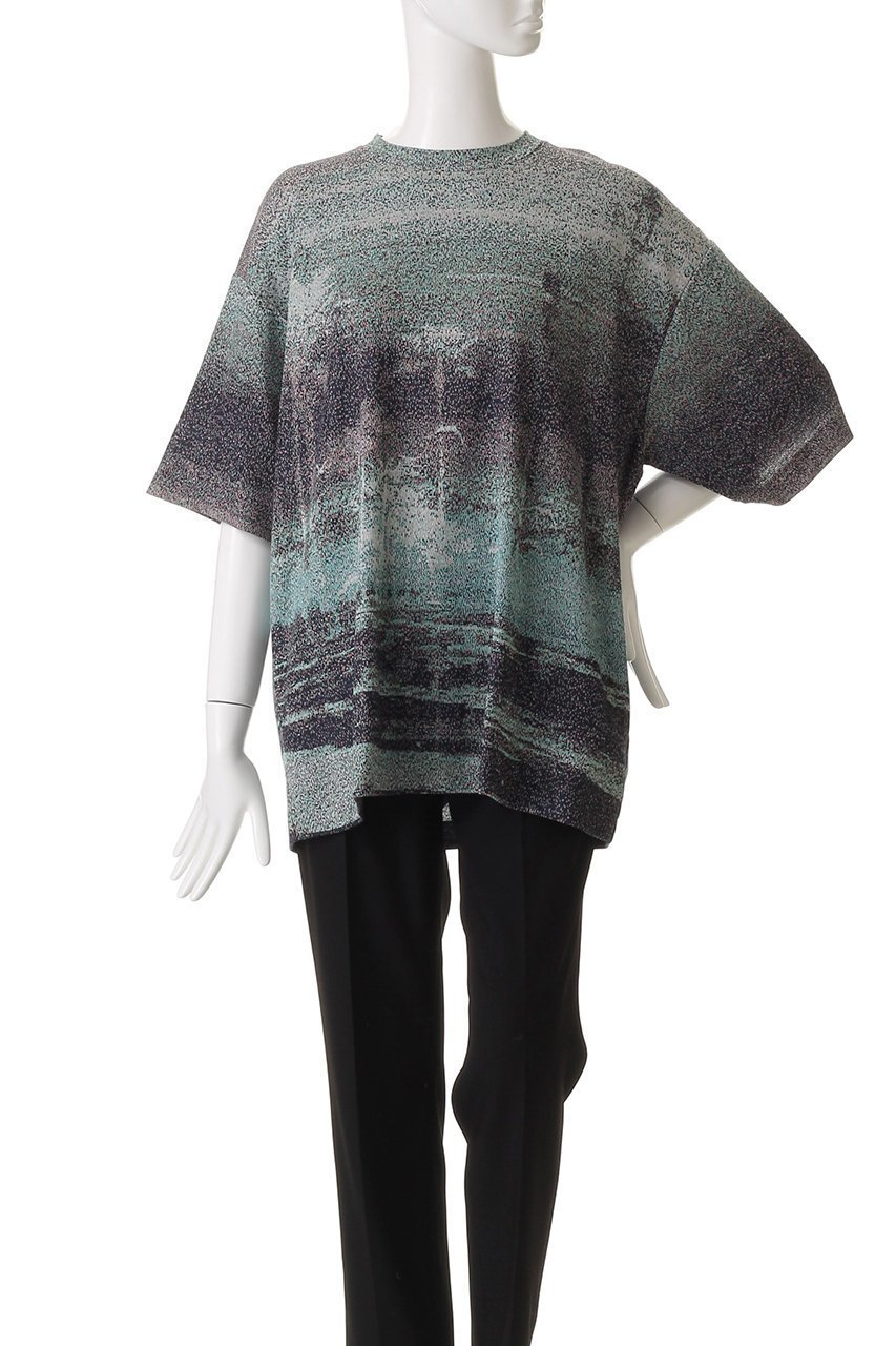 【メゾンスペシャル/MAISON SPECIAL】の【UNISEX】フォトJQニットTシャツ-Nature 人気、トレンドファッション・服の通販 founy(ファニー) 　ファッション　Fashion　レディースファッション　Ladies' Fashion Online　トップス・カットソー　Tops/Tshirt　ニット　Knit Tops　シャツ/ブラウス　Shirts/Blouses　ロング / Tシャツ　T-Shirts　プルオーバー　Pullover　ユニセックス　Unisex　ジャカード　Jacquard　スリーブ　Sleeve　ハーフ　Half　other-2|ID: prp329100004581711 ipo3291000000032464443