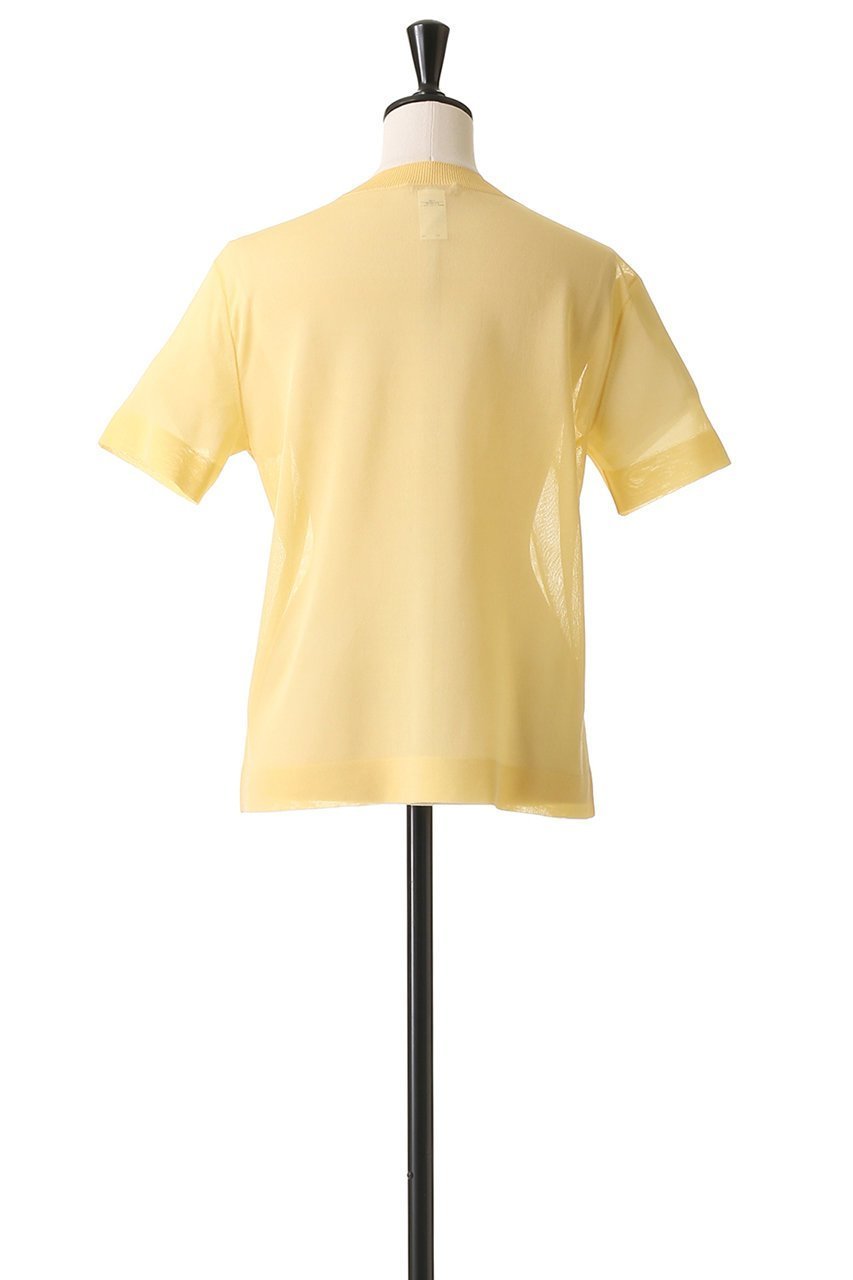 【ブラミンク/BLAMINK】のクルーネックショートスリーブニット 人気、トレンドファッション・服の通販 founy(ファニー) 　ファッション　Fashion　レディースファッション　Fashion for Women　トップス・カットソー　Cut & Sew Tops　ニット　Knit Tops & Sweaters　カジュアルプルオーバー・ニットトップス　Pullovers & Knit Tops / Casual Pullovers　2025年　2025　2025-2026秋冬・A/W　Autumn/Winter 2025–26 AW25–26　シアー　Sheer, See-Through　シルク　Silk, 100% Silk　ロング　Long, Long-Length　A/W・秋冬　Autumn/Winter　other-4|ID: prp329100004585489 ipo3291000000032513639