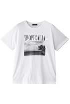 【アルアバイル/allureville】のモノトーンフォトグラフT 人気、トレンドファッション・服の通販 founy(ファニー) ファッション Fashion レディースファッション Ladies' Fashion Online トップス・カットソー Tops/Tshirt シャツ/ブラウス Shirts/Blouses ロング / Tシャツ T-Shirts カットソー Cut and Sewn おすすめ Recommend コンパクト Compact ショート Short ジャケット Jacket スリーブ Sleeve プリント Print エレガント 上品 Elegant NEW・新作・新着・新入荷 New Arrivals thumbnail オフホワイト|ID: prp329100004586553 ipo3291000000032522887