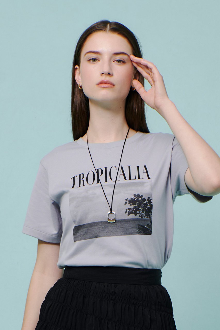 【アルアバイル/allureville】のモノトーンフォトグラフT 人気、トレンドファッション・服の通販 founy(ファニー) 　ファッション　Fashion　レディースファッション　Fashion for Women　トップス・カットソー　Cut & Sew Tops　シャツ・ブラウス・オフィスカジュアル　Elegant Blouses & Button-Ups　ロングTシャツ・Tシャツ　Longline T-Shirts & Tees　カットソー・ベーシックTシャツ　Cut-and-Sewn Tops / Stretch Tees & Basics　おすすめ　Recommended / Our Picks　コンパクト　Compact, Small Size　ショート　Short, Short Length　ジャケット　Jacket, Outerwear　スリーブ　Sleeve, Long Sleeve / Short Sleeve　プリント　Print, Printed Pattern　エレガント 上品　Elegant　other-6|ID: prp329100004586553 ipo3291000000033616620