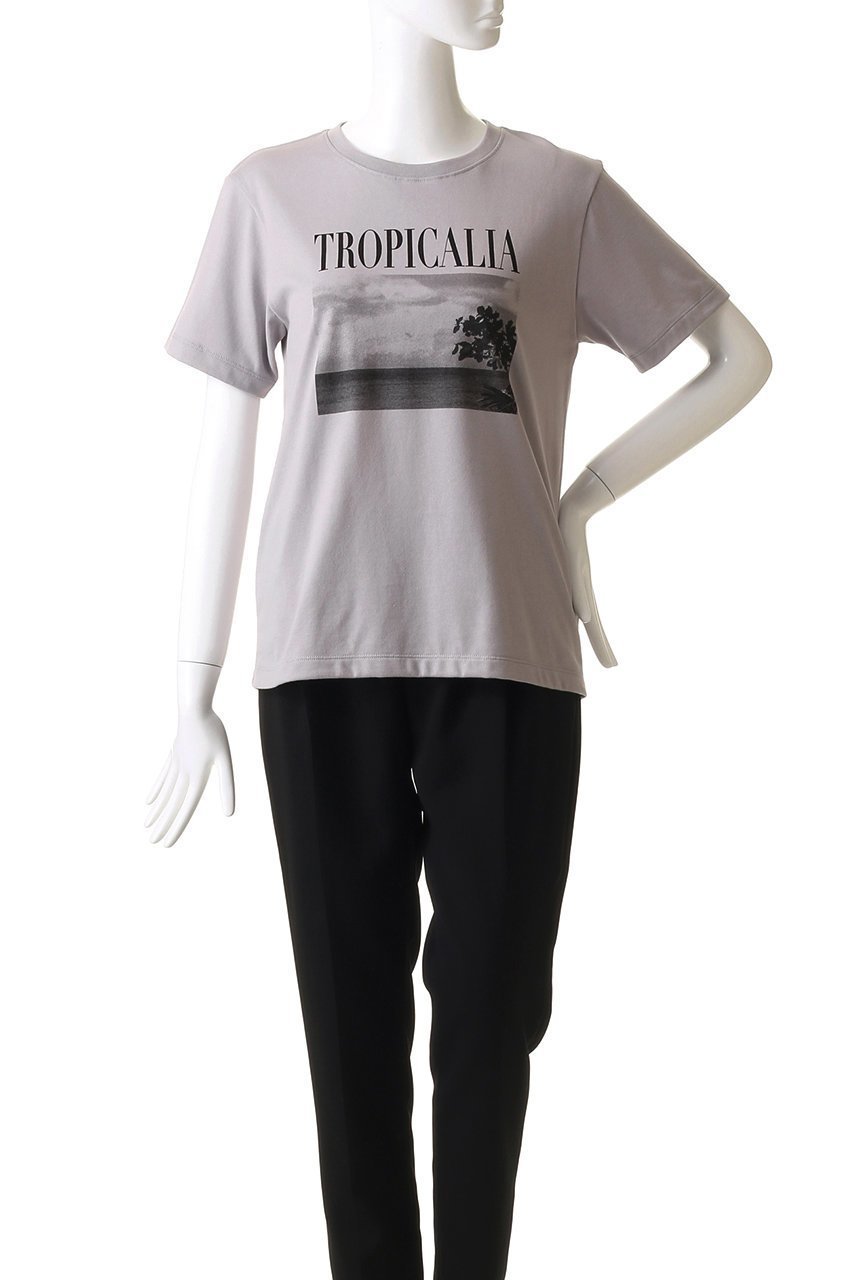 【アルアバイル/allureville】のモノトーンフォトグラフT 人気、トレンドファッション・服の通販 founy(ファニー) ファッション Fashion レディースファッション Fashion for Women トップス・カットソー Cut & Sew Tops シャツ・ブラウス・オフィスカジュアル Elegant Blouses & Button-Ups ロングTシャツ・Tシャツ Longline T-Shirts & Tees カットソー・ベーシックTシャツ Cut-and-Sewn Tops / Stretch Tees & Basics おすすめ Recommended / Our Picks コンパクト Compact, Small Size ショート Short, Short Length ジャケット Jacket, Outerwear スリーブ Sleeve, Long Sleeve / Short Sleeve プリント Print, Printed Pattern エレガント 上品 Elegant other-2|ID: prp329100004586553 ipo3291000000035518190