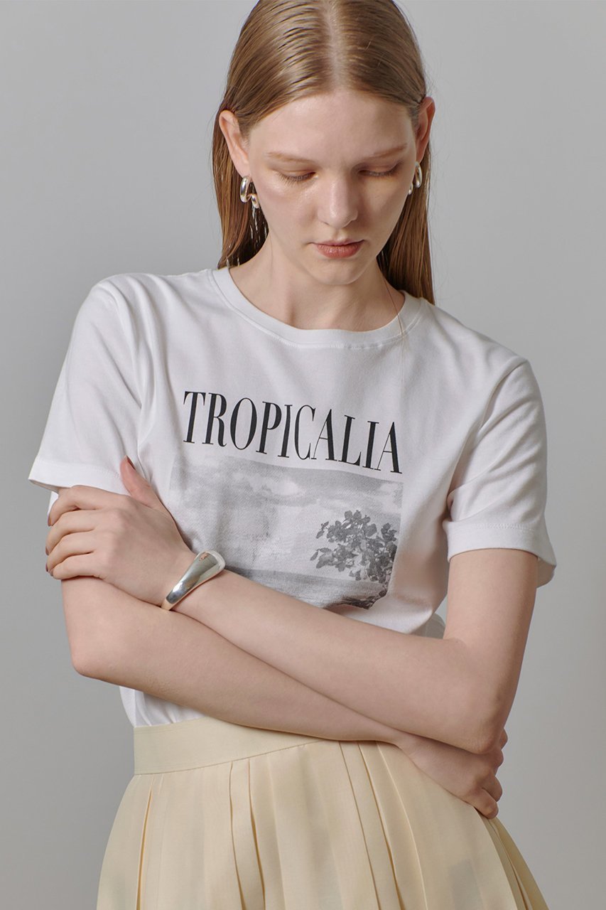 【アルアバイル/allureville】のモノトーンフォトグラフT 人気、トレンドファッション・服の通販 founy(ファニー) ファッション Fashion レディースファッション Fashion for Women トップス・カットソー Cut & Sew Tops シャツ・ブラウス・オフィスカジュアル Elegant Blouses & Button-Ups ロングTシャツ・Tシャツ Longline T-Shirts & Tees カットソー・ベーシックTシャツ Cut-and-Sewn Tops / Stretch Tees & Basics おすすめ Recommended / Our Picks コンパクト Compact, Small Size ショート Short, Short Length ジャケット Jacket, Outerwear スリーブ Sleeve, Long Sleeve / Short Sleeve プリント Print, Printed Pattern エレガント 上品 Elegant other-6|ID: prp329100004586553 ipo3291000000035518196