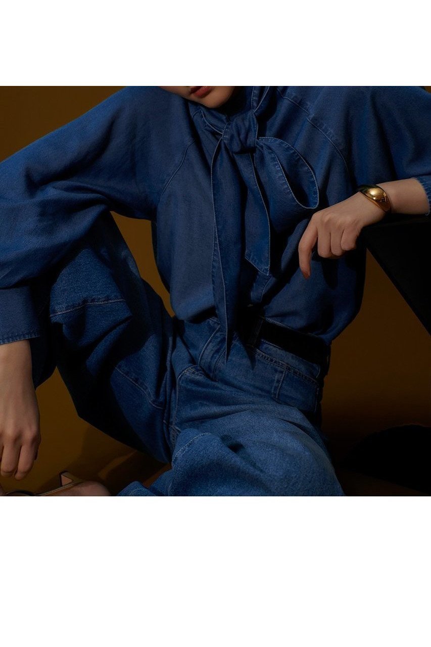 【アルアバイル/allureville】のデニムボウブラウス 人気、トレンドファッション・服の通販 founy(ファニー) 　ファッション　Fashion　レディースファッション　Fashion for Women　トップス・カットソー　Cut & Sew Tops　シャツ・ブラウス・オフィスカジュアル　Elegant Blouses & Button-Ups　ウエスタン　Western Style　スリーブ　Sleeve, Long Sleeve / Short Sleeve　セットアップ　Set-Up, Coordinated Outfit　デニム　Denim, Jeans Material　ドット　Polka Dot, Dot Pattern　ロング　Long, Long-Length　ヴィンテージ　Vintage Style　再入荷　Restock / Back in Stock　other-4|ID: prp329100004588597 ipo3291000000032549851