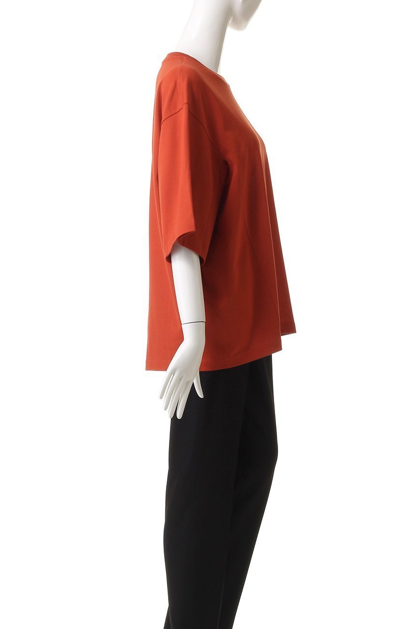 【エブール/ebure】の【6/27 0:00販売開始】【店舗限定】クリア天竺 クルーネックカットソー 人気、トレンドファッション・服の通販 founy(ファニー) 　ファッション　Fashion　レディースファッション　Ladies' Fashion Online　トップス・カットソー　Tops/Tshirt　シャツ/ブラウス　Shirts/Blouses　ロング / Tシャツ　T-Shirts　カットソー　Cut and Sewn　2025年　2025　2025-2026秋冬・A/W　Aw/Autumn/Winter/Fw/Fall/2025-2026　なめらか　Smooth　カッティング　Cutting　カットソー　Cut And Sew　ショート　Short　スリーブ　Sleeve　パターン　Pattern　フォルム　Form　エレガント 上品　Elegant　A/W・秋冬　Aw・Autumn/Winter・Fw・Fall-Winter　other-3|ID: prp329100004592217 ipo3291000000032601774