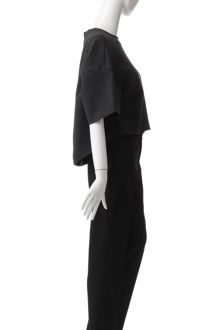 【ドメル/DOMELLE】のショート ジャージー トップ 人気、トレンドファッション・服の通販 founy(ファニー) 　ファッション　Fashion　レディースファッション　Ladies' Fashion Online　トップス・カットソー　Tops/Tshirt　シャツ/ブラウス　Shirts/Blouses　ロング / Tシャツ　T-Shirts　カットソー　Cut and Sewn　2025年　2025　2025-2026秋冬・A/W　Aw/Autumn/Winter/Fw/Fall/2025-2026　ショルダー　Shoulder　ショート　Short　シンプル　Simple　ジャージー　Jersey　スリーブ　Sleeve　ドロップ　Drop　バランス　Balance　フォルム　Form　A/W・秋冬　Aw・Autumn/Winter・Fw・Fall-Winter　other-3|ID: prp329100004592307 ipo3291000000032602407