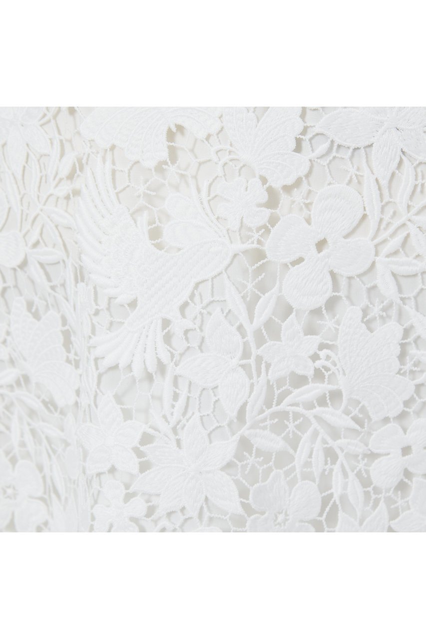 【デザイン ワークス/DESIGN WORKS】の【BEAUVET】ケミカルレースフレアスカート 人気、トレンドファッション・服の通販 founy(ファニー) 　ファッション　Fashion　レディースファッション　Fashion for Women　スカート　Skirts　Aライン・フレアスカート　A-Line & Flared Skirts　ロングスカート　Long Skirts / Maxi & Midi Skirts　おすすめ　Recommended / Our Picks　エレガント 上品　Elegant　シンプル　Simple, Minimal　フレア　Flare, Flared　レース　Lace, Lace Fabric　ロング　Long, Long-Length　other-6|ID: prp329100004593254 ipo3291000000035691033