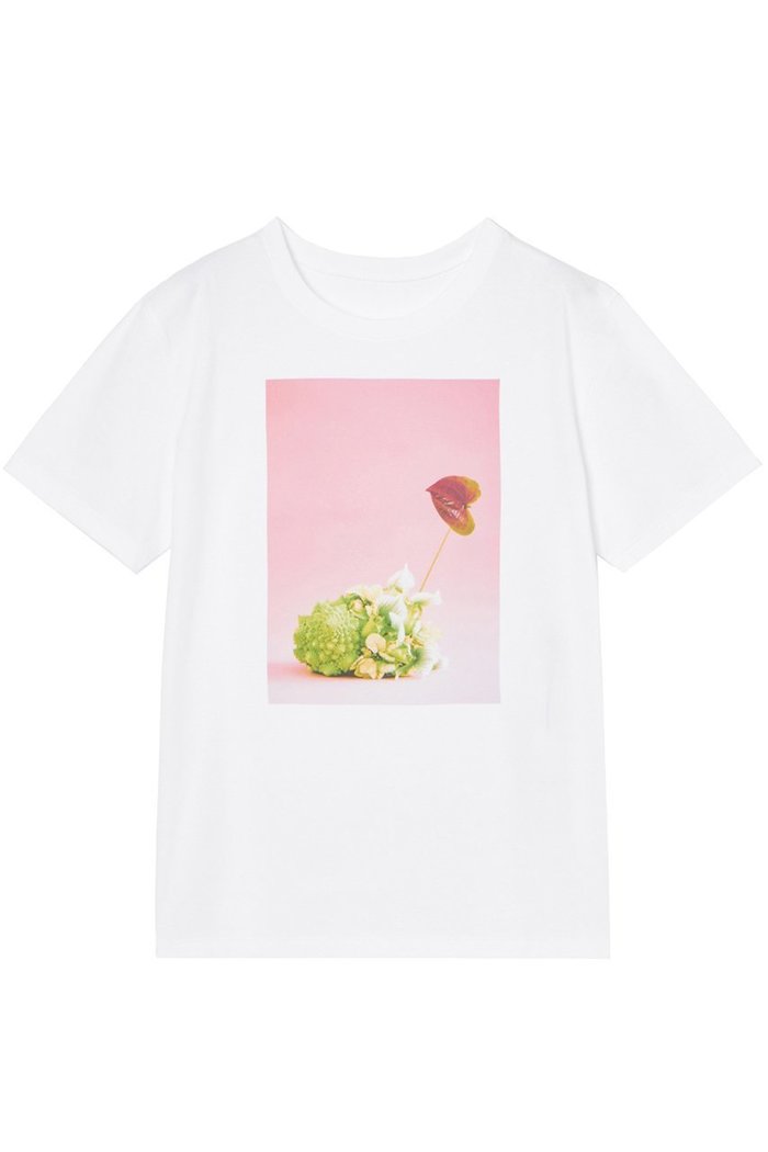 【アナイ/ANAYI】のコットン天竺ロマネスコプリントTシャツ インテリア・キッズ・メンズ・レディースファッション・服の通販 founy(ファニー) https://founy.com/ ファッション Fashion レディースファッション Ladies' Fashion Online トップス・カットソー Tops/Tshirt シャツ/ブラウス Shirts/Blouses ロング / Tシャツ T-Shirts カットソー Cut and Sewn なめらか Smooth エレガント 上品 Elegant ショート Short スリーブ Sleeve バランス Balance フラワー Flower プリント Print ミックス Mix リアル Real リラックス Relax 再入荷 Restock/Back In Stock/Re Arrival |ID: prp329100004593333 ipo3291000000032614344