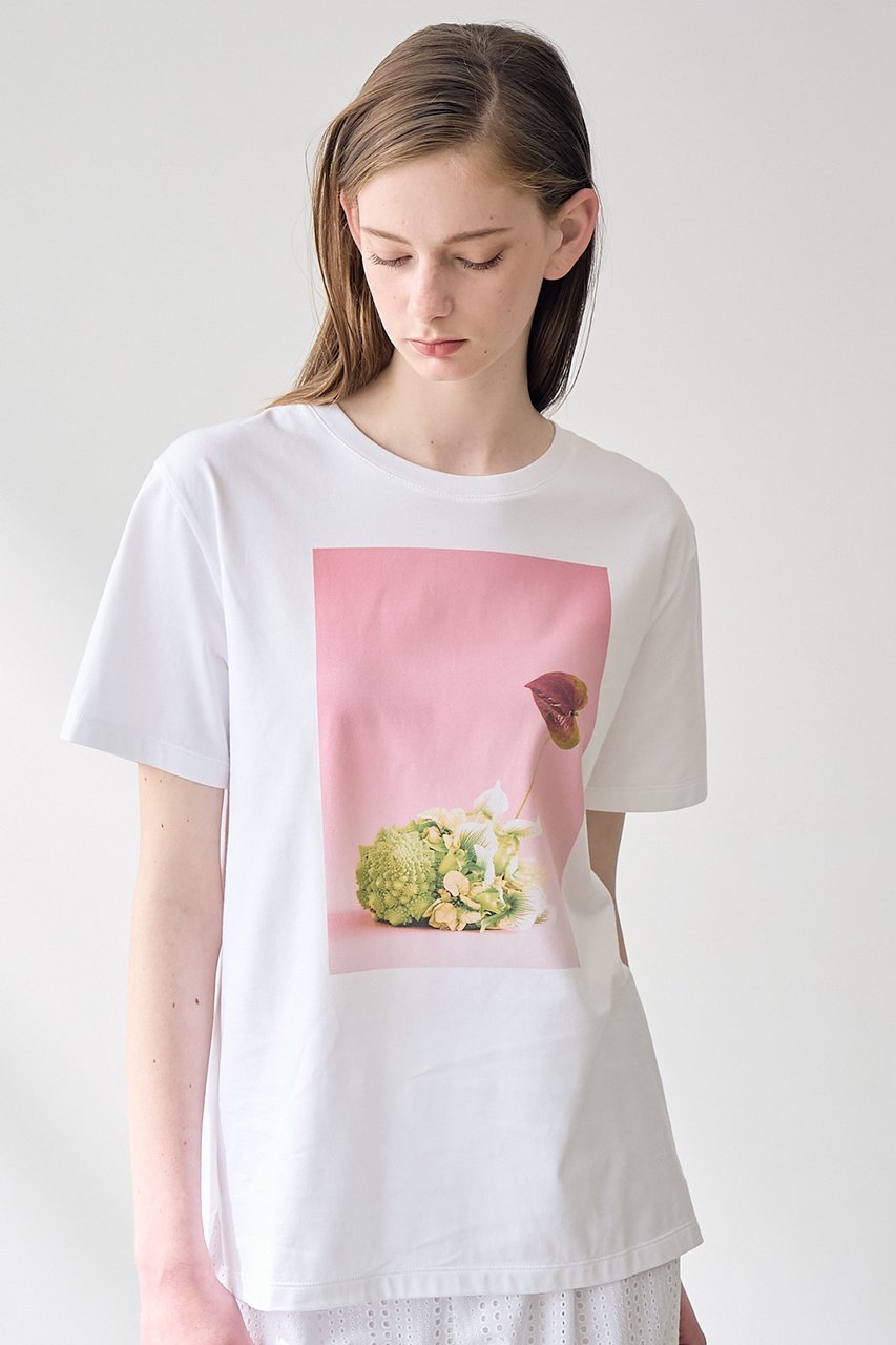【アナイ/ANAYI】のコットン天竺ロマネスコプリントTシャツ 人気、トレンドファッション・服の通販 founy(ファニー) 　ファッション　Fashion　レディースファッション　Ladies' Fashion Online　トップス・カットソー　Tops/Tshirt　シャツ/ブラウス　Shirts/Blouses　ロング / Tシャツ　T-Shirts　カットソー　Cut and Sewn　なめらか　Smooth　エレガント 上品　Elegant　ショート　Short　スリーブ　Sleeve　バランス　Balance　フラワー　Flower　プリント　Print　ミックス　Mix　リアル　Real　リラックス　Relax　再入荷　Restock/Back In Stock/Re Arrival　other-8|ID: prp329100004593333 ipo3291000000032614352