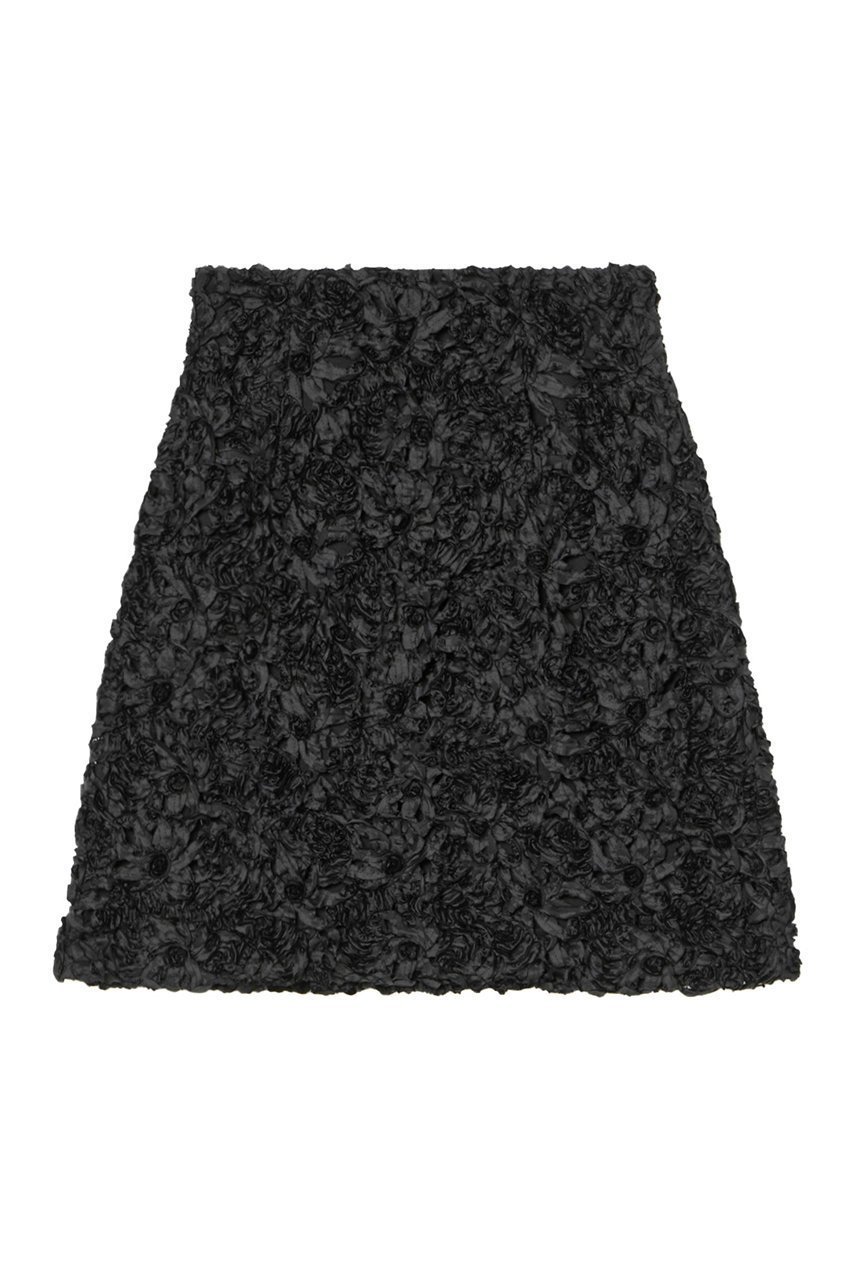 【アナイ/ANAYI】のテープ刺繍レイヤード スカート 人気、トレンドファッション・服の通販 founy(ファニー) 　ファッション　Fashion　レディースファッション　Ladies' Fashion Online　スカート　Skirt　ロングスカート　Long Skirt　おすすめ　Recommend　ギャザー　Gather　シンプル　Simple　タフタ　Taffeta　チュール　Tulle　ミニスカート　Mini Skirt　ロング　Long　今季　This Season　再入荷　Restock/Back In Stock/Re Arrival　other-3|ID: prp329100004593384 ipo3291000000032614780