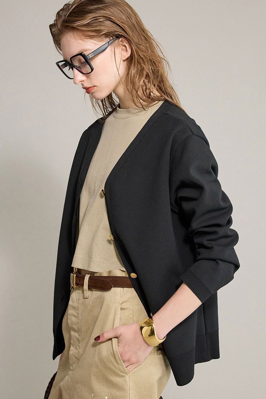 【ブリル/BRILL】のVネックミラノリブカーディガン 人気、トレンドファッション・服の通販 founy(ファニー) 　ファッション　Fashion　レディースファッション　Ladies' Fashion Online　トップス・カットソー　Tops/Tshirt　ニット　Knit Tops　カーディガン　Cardigans　Vネック　V-Neck　おすすめ　Recommend　カーディガン　Cardigan　ストレッチ　Stretch　セットアップ　Set Up　ミラノリブ　Milan Ribs　NEW・新作・新着・新入荷　New Arrivals　other-2|ID: prp329100004594184 ipo3291000000032630921