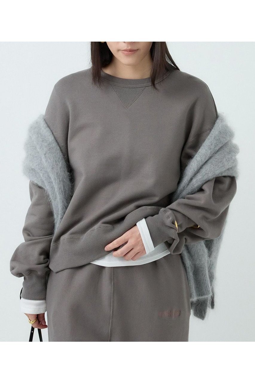 【カオス/Chaos】の【WHY NOT NOW】クースベイスウェットプルオーバー 人気、トレンドファッション・服の通販 founy(ファニー) 　ファッション　Fashion　レディースファッション　Fashion for Women　トップス・カットソー　Cut & Sew Tops　シャツ・ブラウス・オフィスカジュアル　Elegant Blouses & Button-Ups　レディースパーカー・カジュアルフーディー　Casual Hoodies & Sweatshirts　ロングTシャツ・Tシャツ　Longline T-Shirts & Tees　カジュアルプルオーバー・ニットトップス　Pullovers & Knit Tops / Casual Pullovers　スウェット・クルーネックトップス　Sweatshirts & Crewnecks / Relaxed Fit Sweat Tops　カットソー・ベーシックTシャツ　Cut-and-Sewn Tops / Stretch Tees & Basics　なめらか　Smooth, Silky Texture　コンパクト　Compact, Small Size　スーピマ　Supima, Premium Cotton　ヴィンテージ　Vintage Style　other-5|ID: prp329100004594197 ipo3291000000032631117