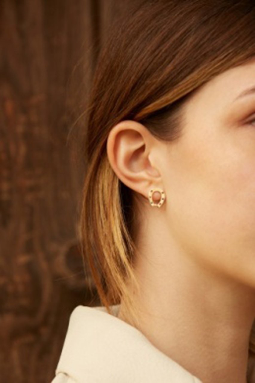 【アリータ/ALIITA】のHORSESHOE BRILLANTE ピアス 人気、トレンドファッション・服の通販 founy(ファニー) 　ファッション　Fashion　レディースファッション　Fashion for Women　ジュエリー　Jewelry　ファッションリング　Fashion Rings　イヤリング・フープ・ドロップタイプ　Hoop, Drop & Clip Earrings　イヤリング　Earrings　ダイヤモンド　Diamond, Brilliant Cut　ラグジュアリー　Luxury, Elegant　リュクス　Luxury, Elegant, High-End, Chic　other-5|ID: prp329100004595119 ipo3291000000032685484