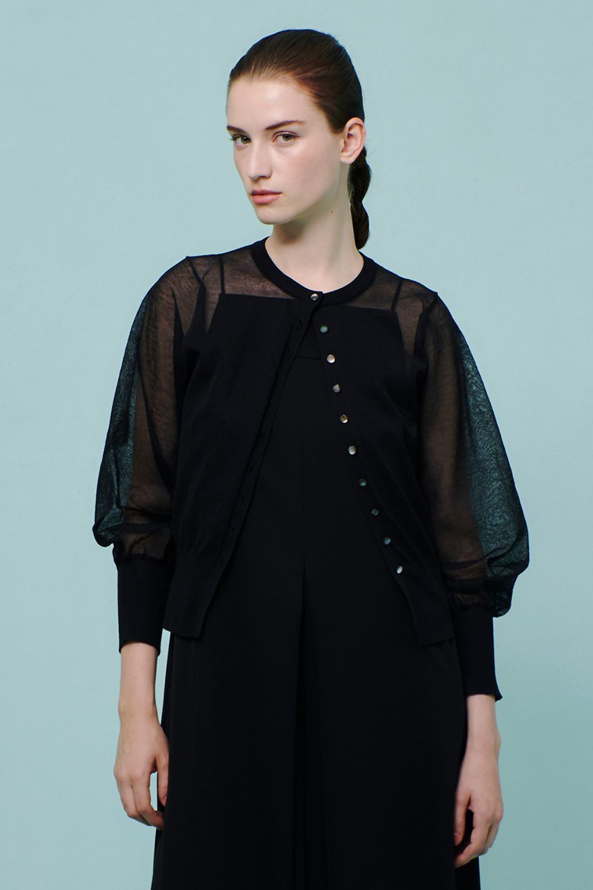 【アルアバイル/allureville】のシアーラミーカーディガン A 人気、トレンドファッション・服の通販 founy(ファニー) 　ファッション　Fashion　レディースファッション　Fashion for Women　トップス・カットソー　Cut & Sew Tops　ニット　Knit Tops & Sweaters　カーディガン・羽織り　Layered Style Cardigans　おすすめ　Recommended / Our Picks　エアリー　Airy Texture　カーディガン　Cardigan, Knitwear　コンパクト　Compact, Small Size　スリーブ　Sleeve, Long Sleeve / Short Sleeve　パール　Pearl, Pearl Accent　羽織　Haori, Light Jacket　other-6|ID: prp329100004598358 ipo3291000000033616573