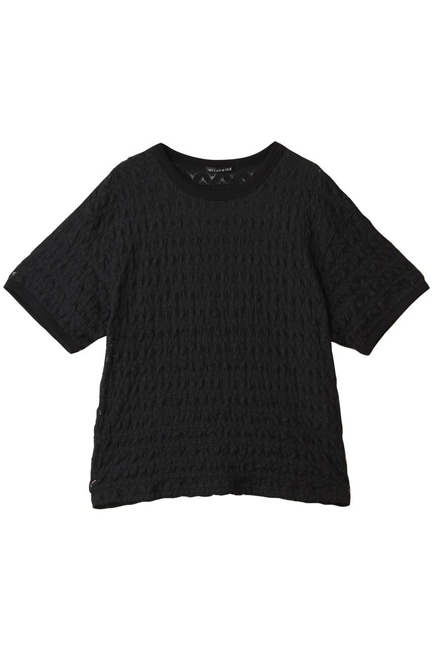 【ミズイロ インド/mizuiro ind】のstretch lace c/neck T Tシャツ インテリア・キッズ・メンズ・レディースファッション・服の通販 founy(ファニー) 　ファッション　Fashion　レディースファッション　Fashion for Women　トップス・カットソー　Cut & Sew Tops　シャツ・ブラウス・オフィスカジュアル　Elegant Blouses & Button-Ups　ロングTシャツ・Tシャツ　Longline T-Shirts & Tees　カットソー・ベーシックTシャツ　Cut-and-Sewn Tops / Stretch Tees & Basics　シアー　Sheer, See-Through　ショート　Short, Short Length　ジャケット　Jacket, Outerwear　ストレッチ　Stretch, Stretchy Fabric　スリーブ　Sleeve, Long Sleeve / Short Sleeve　ベスト　Vest, Waistcoat　レース　Lace, Lace Fabric　エレガント 上品　Elegant　新作・新入荷　New Arrivals / New In　秋　Autumn　black|ID: prp329100004603484 ipo3291000000032745659